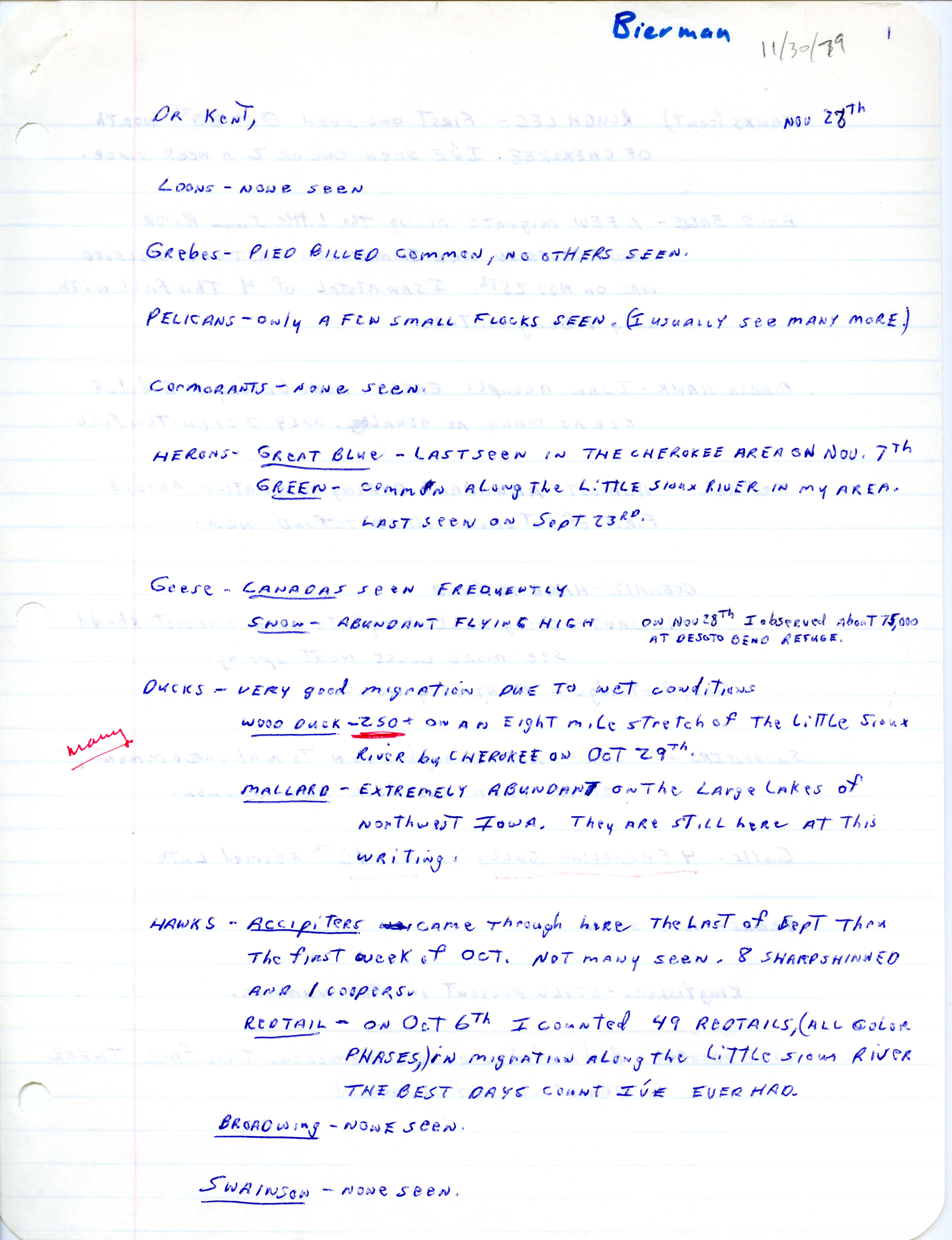 Dick Bierman letter to Thomas H. Kent regarding bird sightings, November 28, 1979