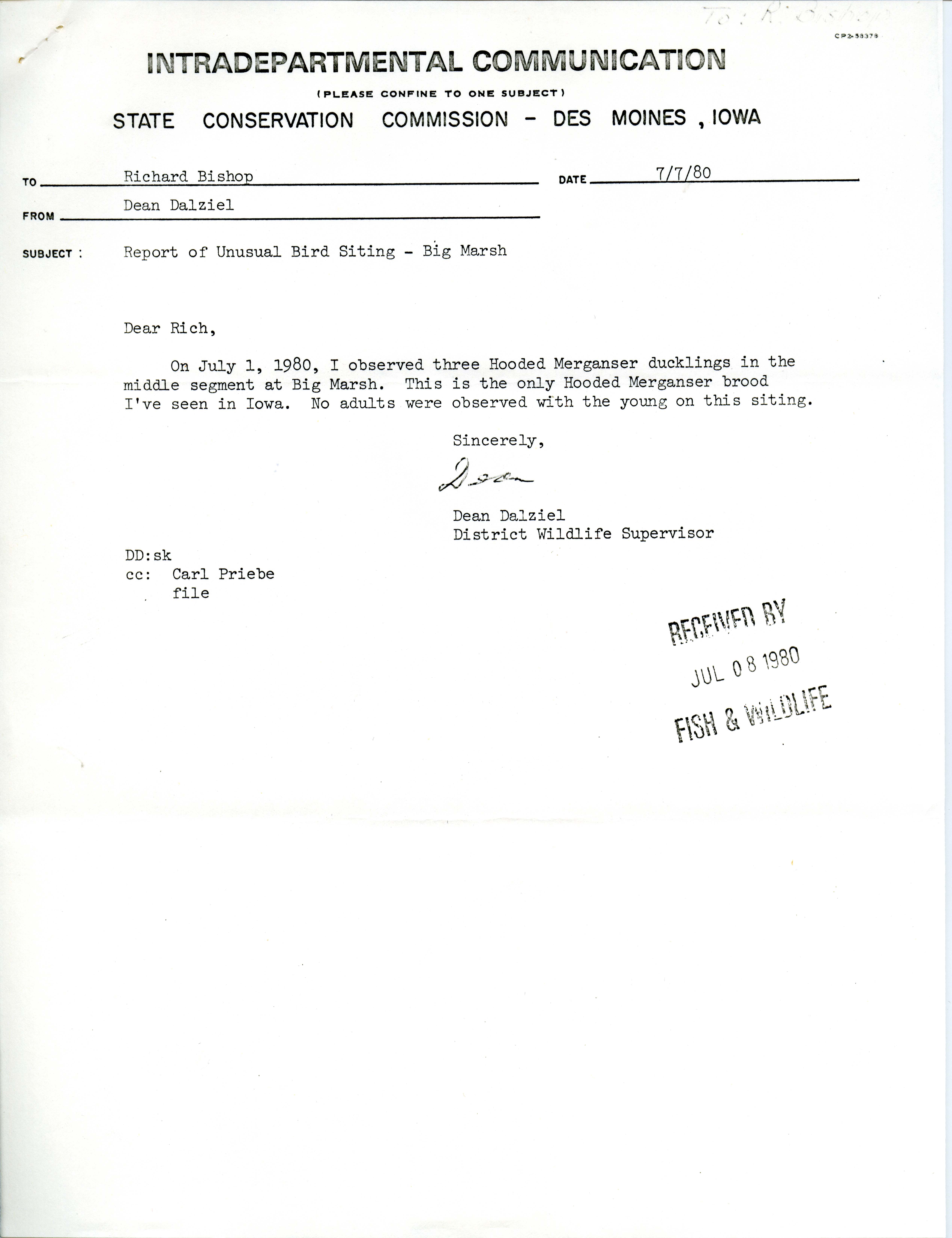 Dean Dalziel letter to Richard Bishop regarding unusual bird sighting, July 7, 1980