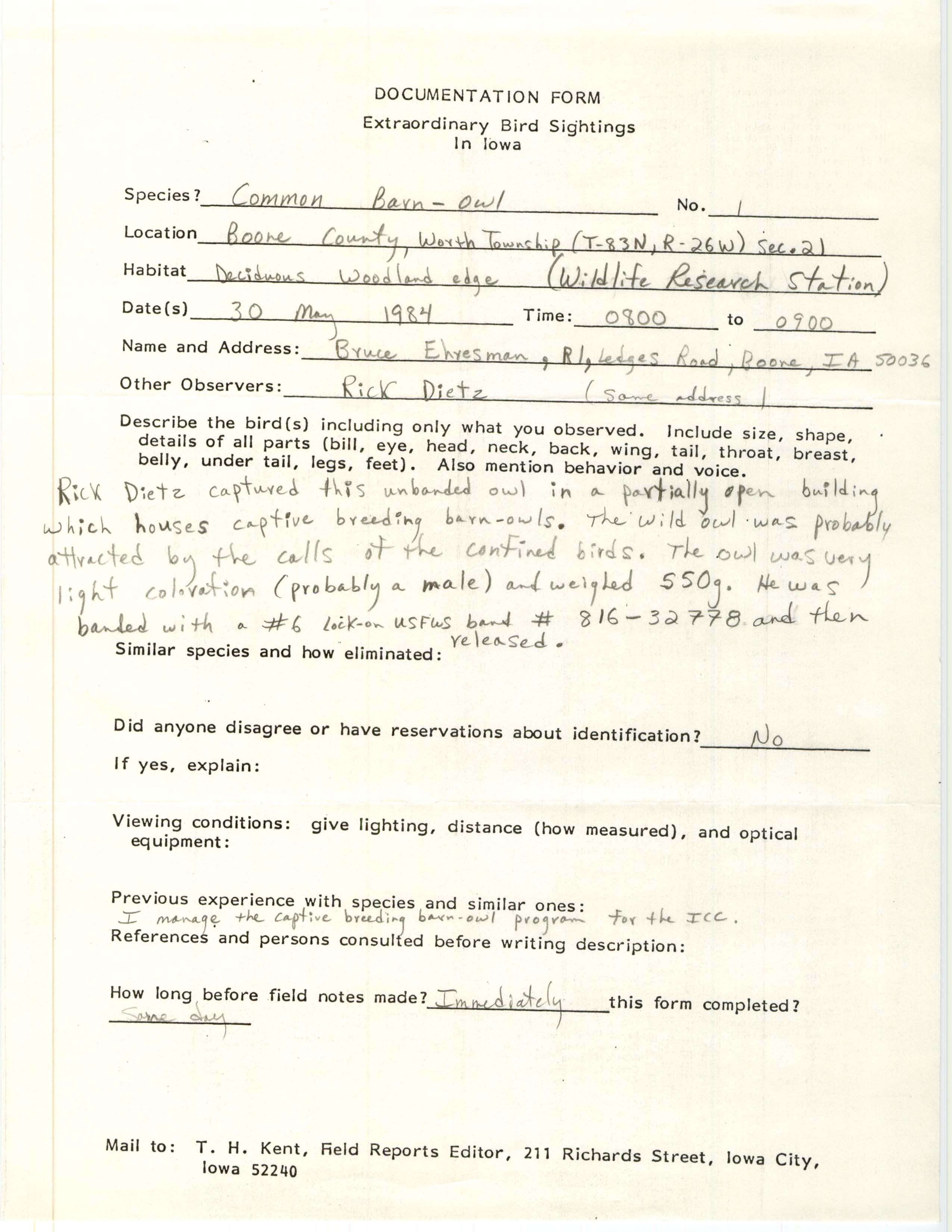 Rare bird documentation form for Common Barn Owl at Worth Township in Boone County, 1984