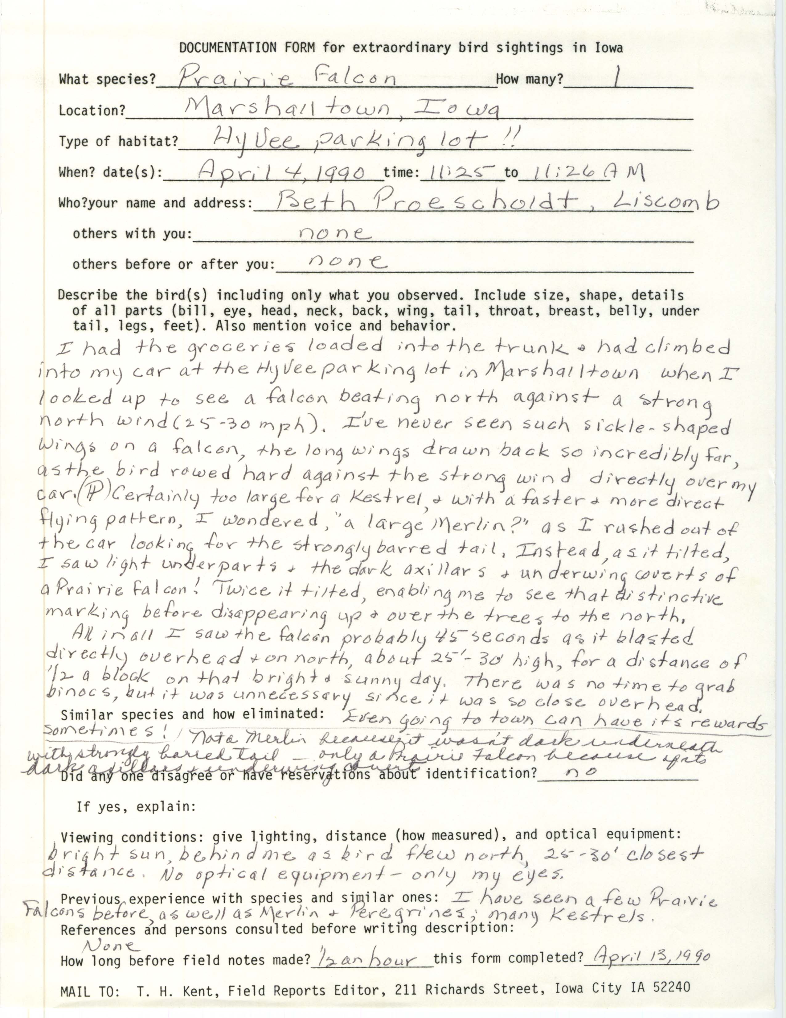Rare bird documentation form for Prairie Falcon at Marshalltown, 1990