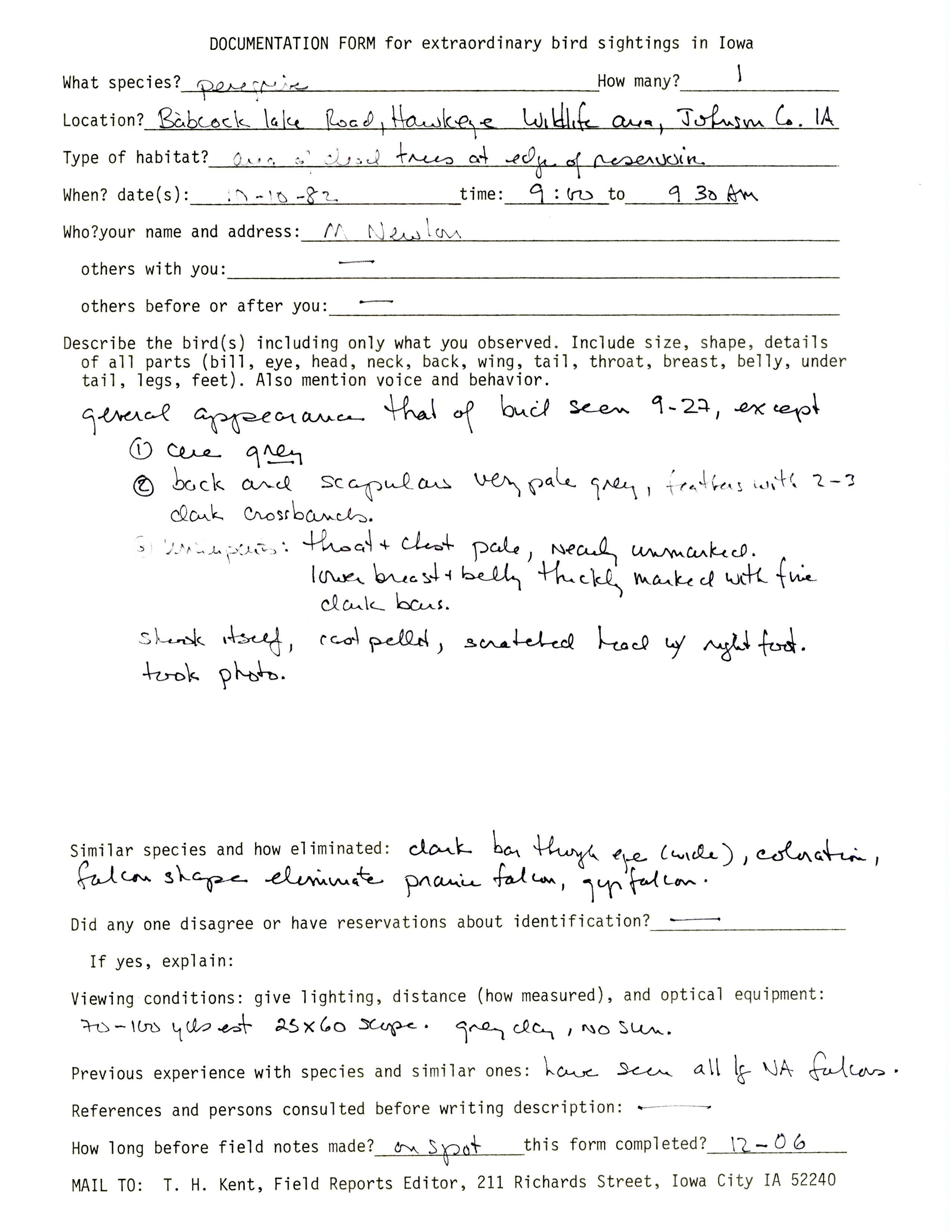 Rare bird documentation form for Peregrine Falcon at Babcock Access, 1982