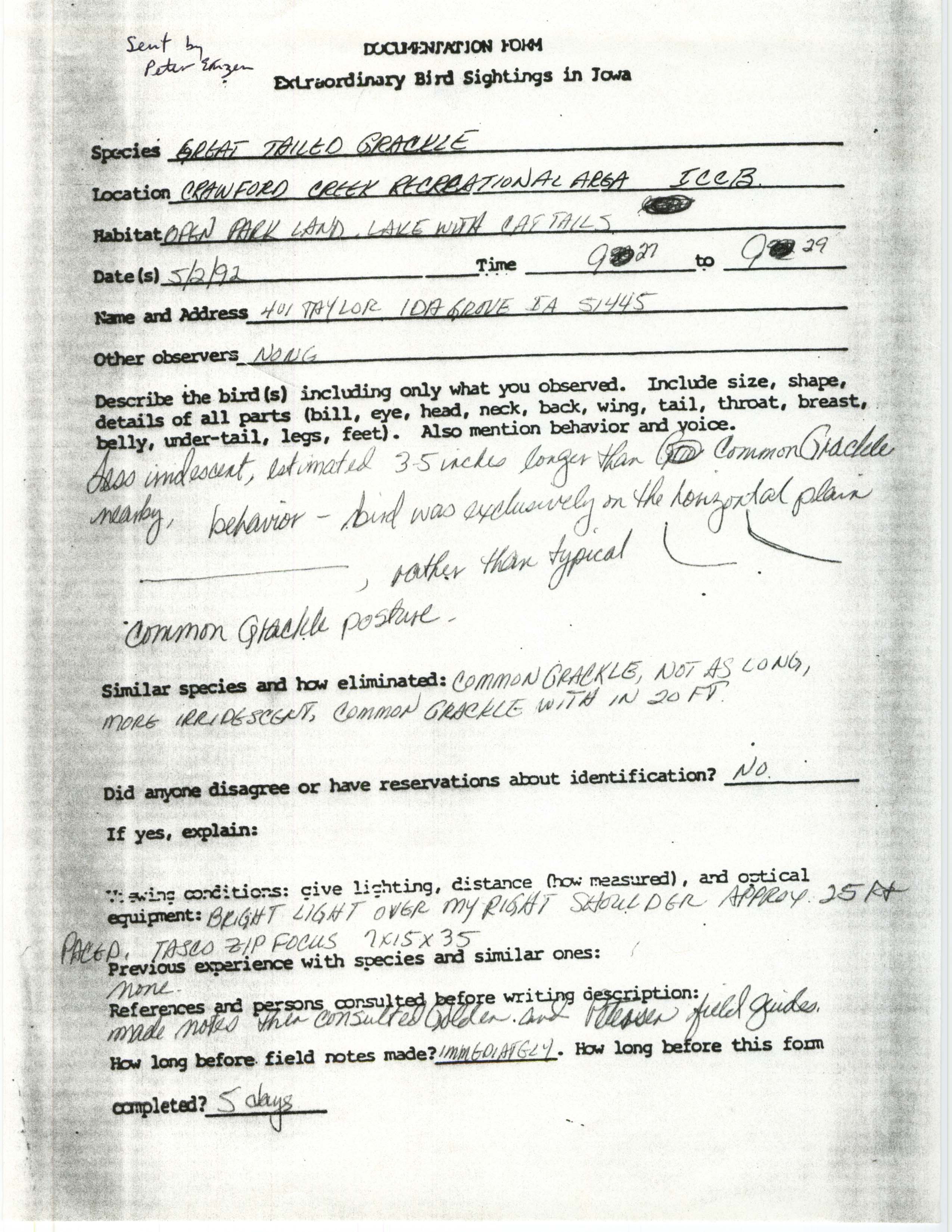 Rare bird documentation form for Great-tailed Grackle at Crawford Creek Recreation Area, 1992