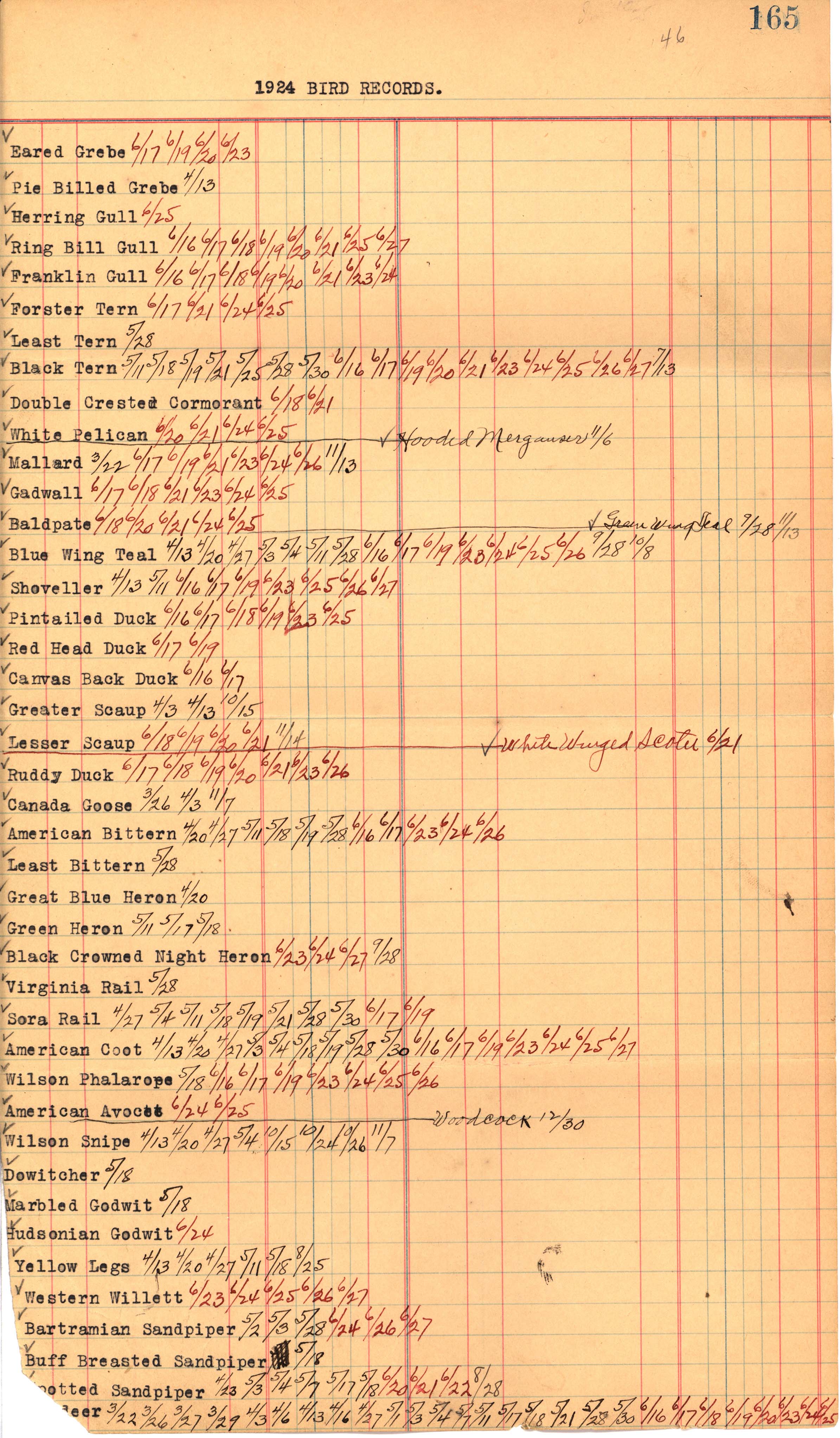 Walter Rosene 1924 bird sighting records