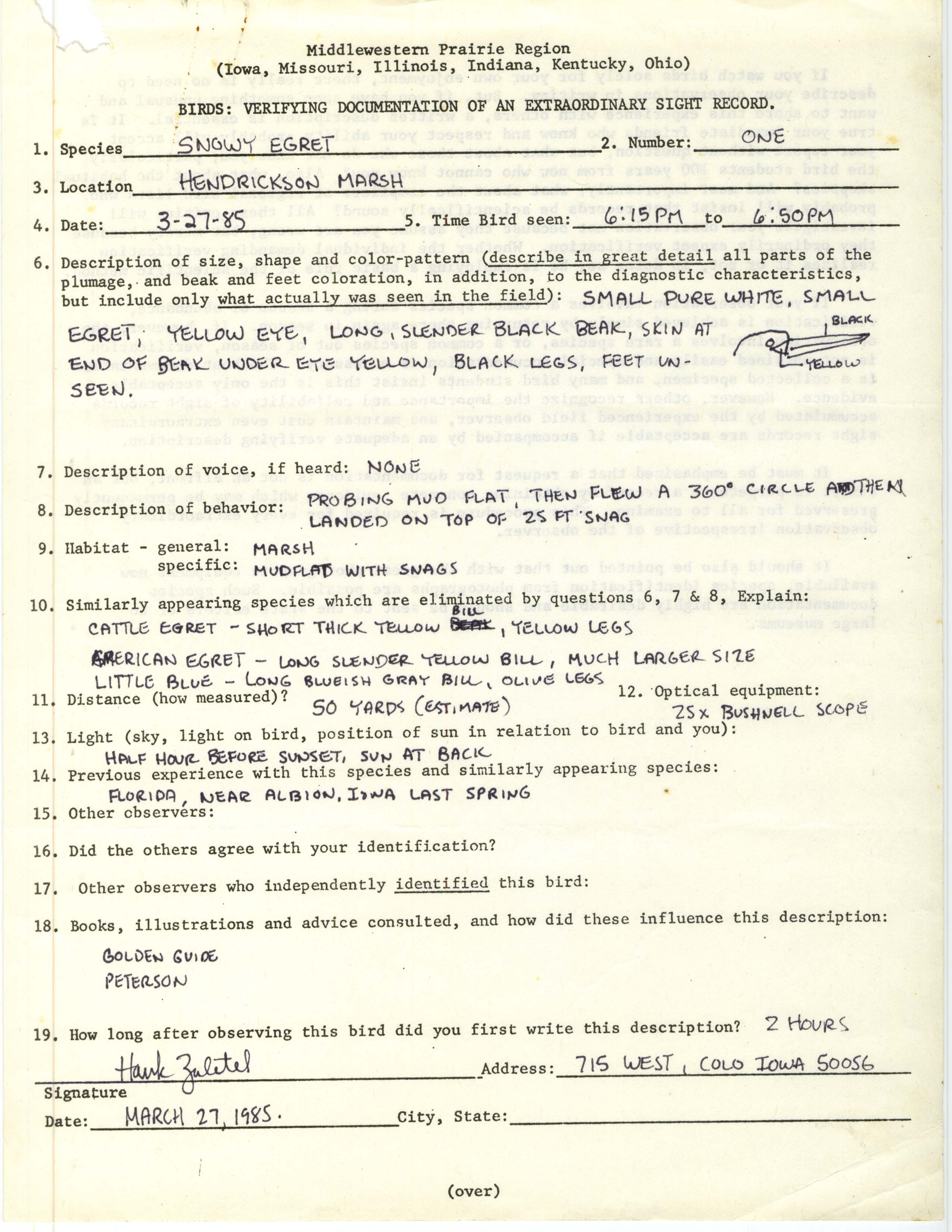 Rare bird documentation form for Snowy Egret at Hendrickson Marsh, 1985