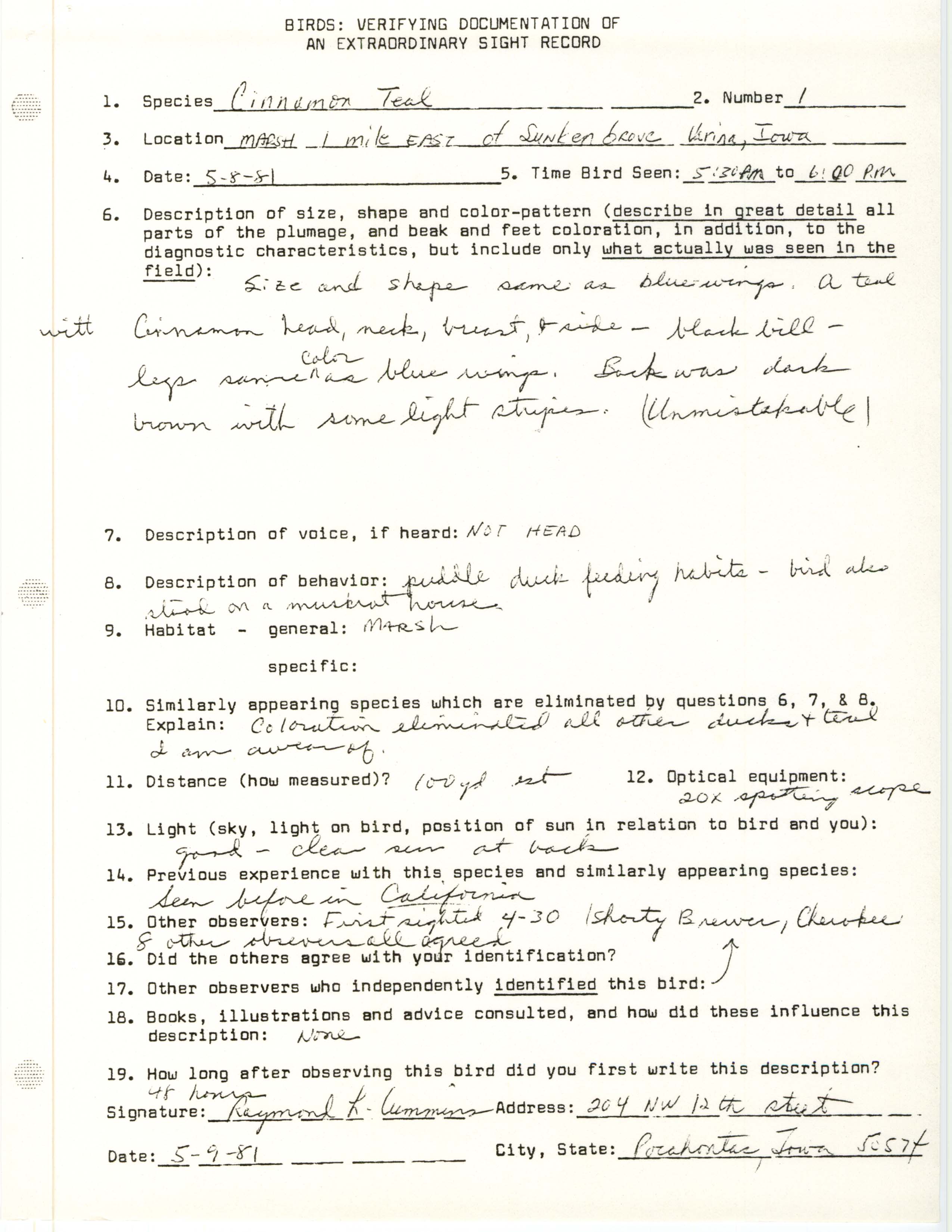 Rare bird documentation form for Cinnamon Teal at Sunken Grove, 1981