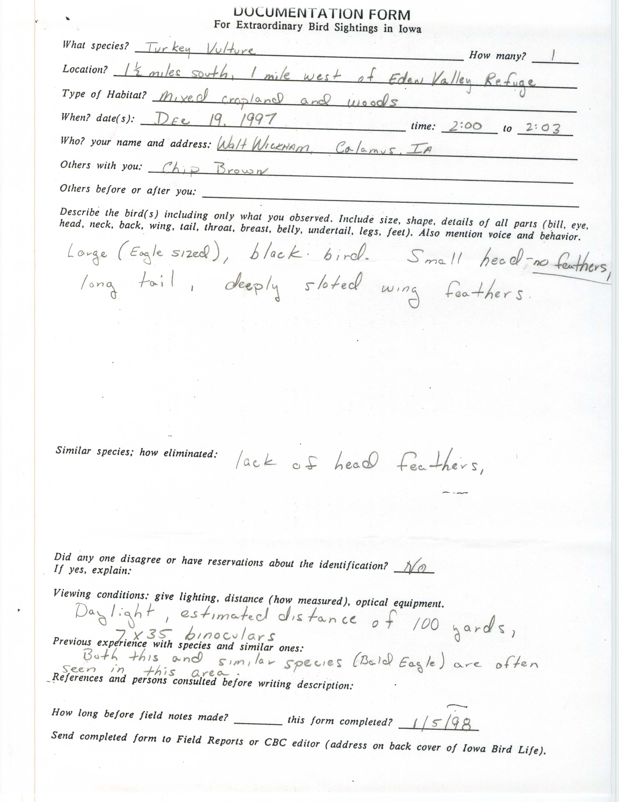 Rare bird documentation form for Turkey Vulture at Eden Valley Refuge, 1997