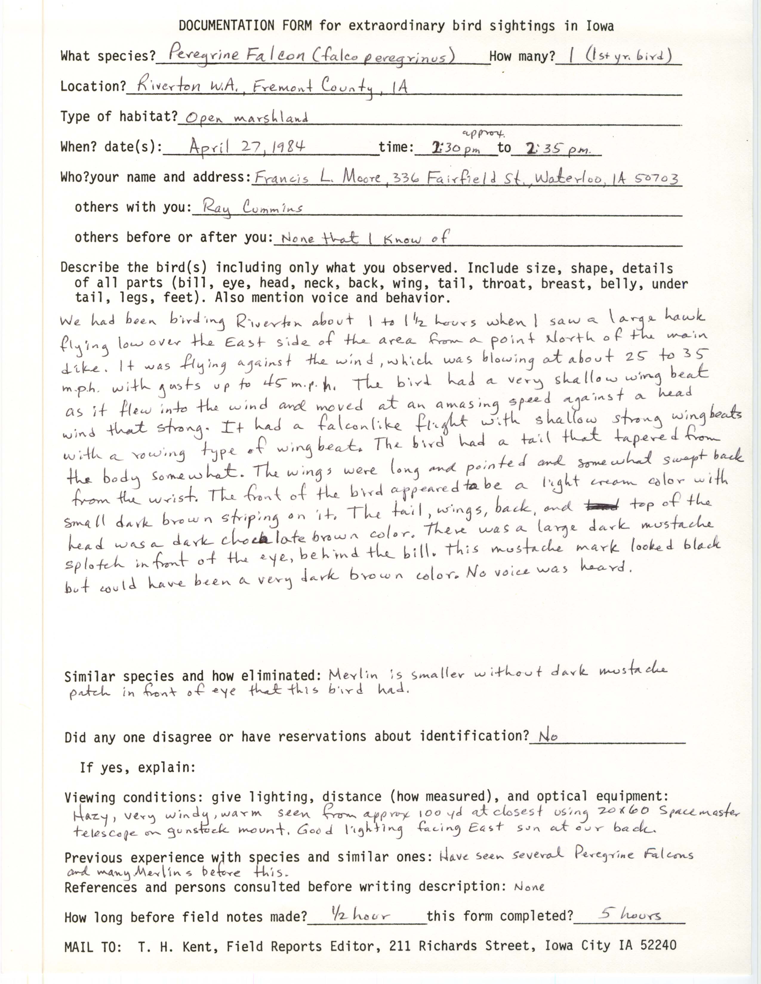 Rare bird documentation form for Peregrine Falcon at Riverton Wildlife Area, 1984
