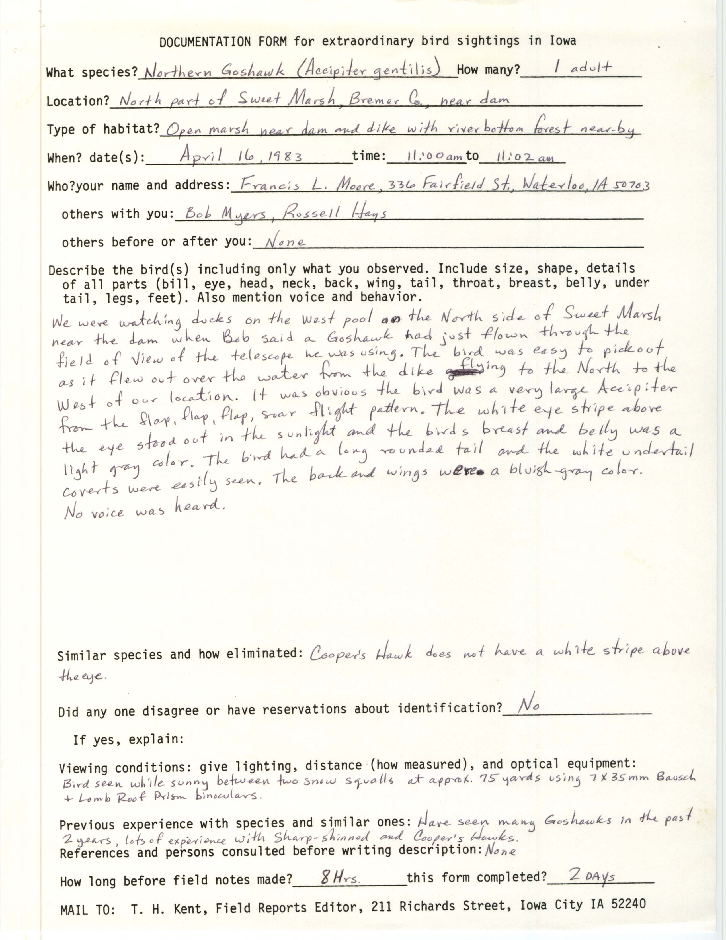 Rare bird documentation form for Northern Goshawk at Sweet Marsh, 1983