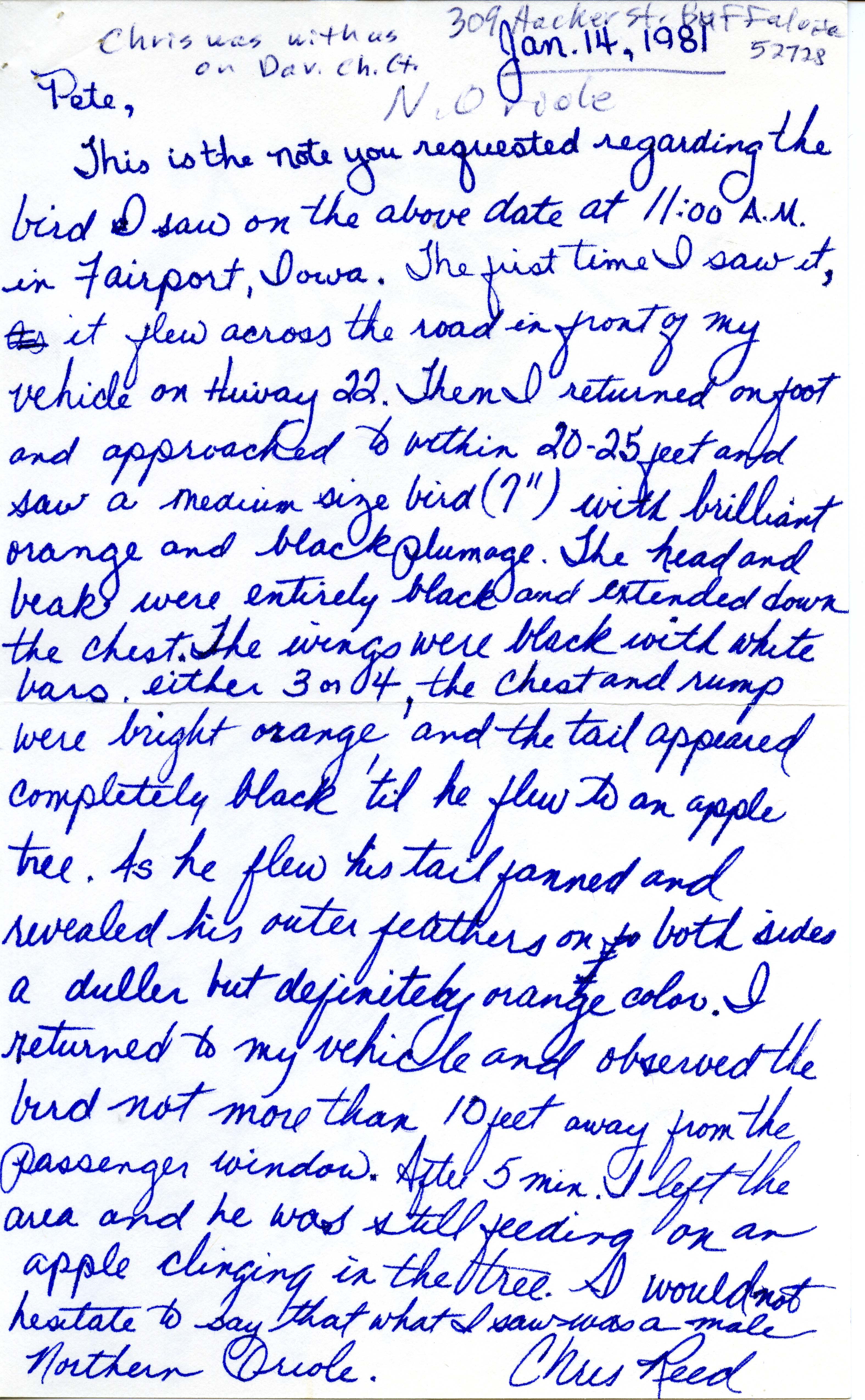 Chris Reed letter to Pete Petersen regarding Northern Oriole sighting, January 14, 1981