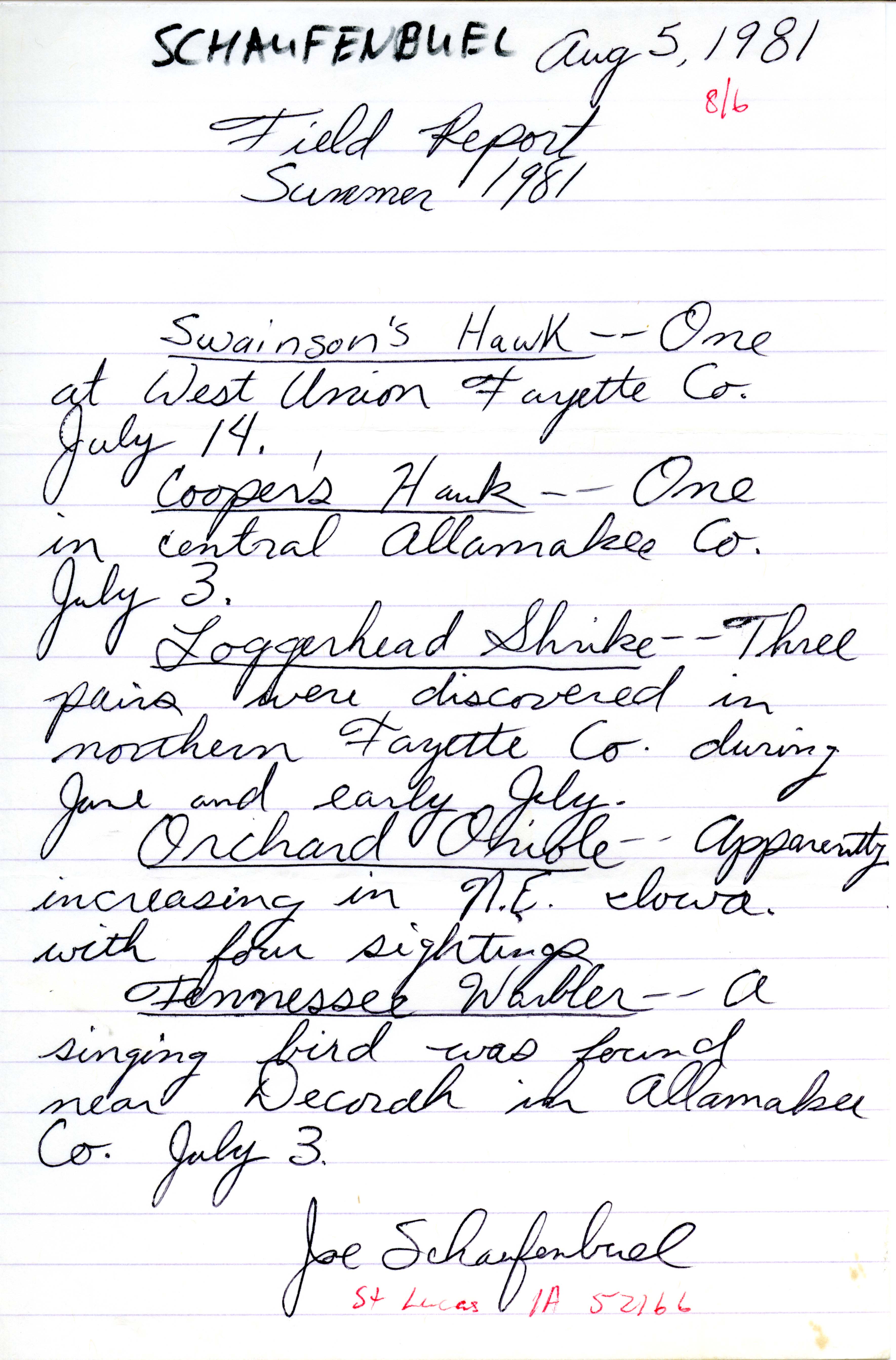 Field notes contributed by Joseph P. Schaufenbuel, August 5, 1981