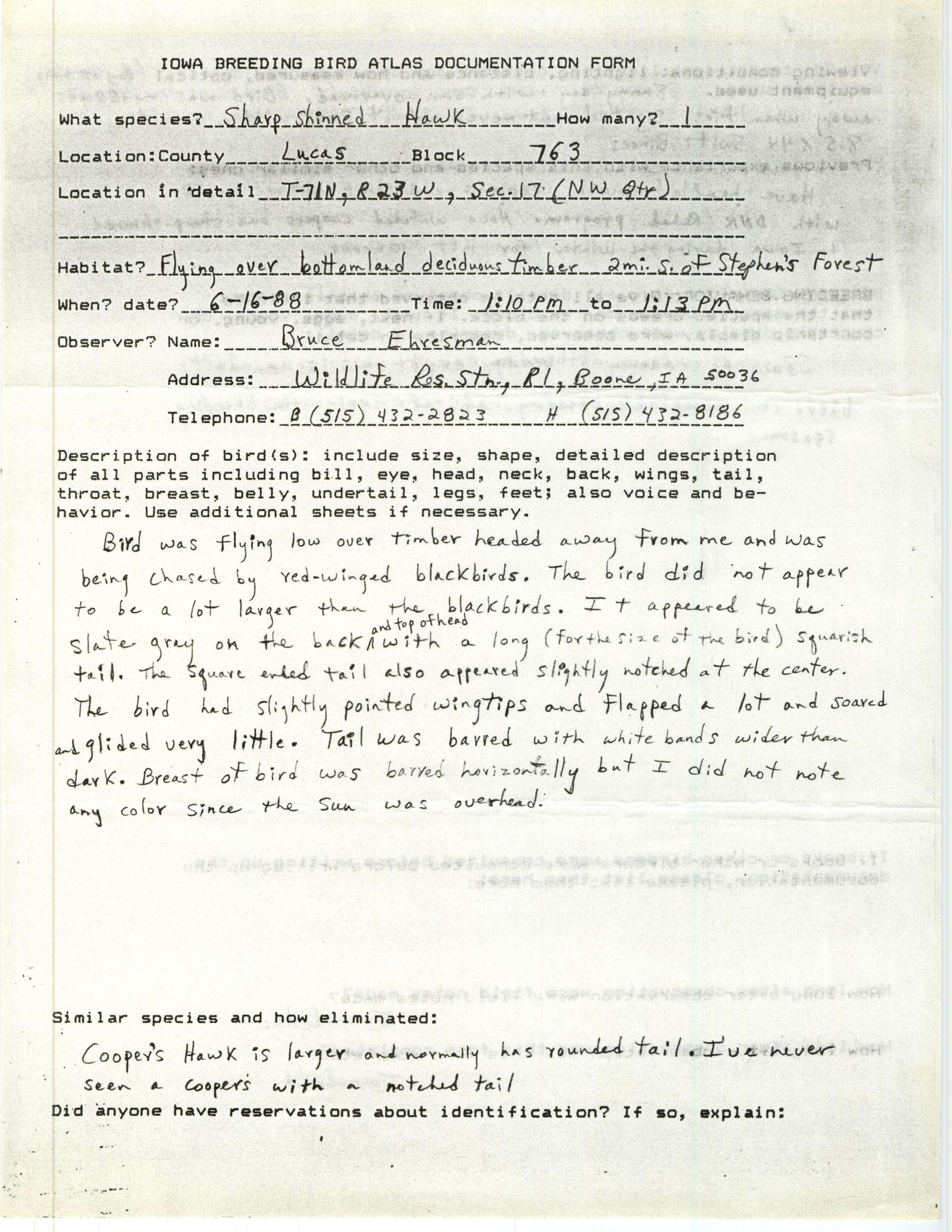 Rare bird documentation form for Sharp-shinned Hawk at Lucas County, 1988