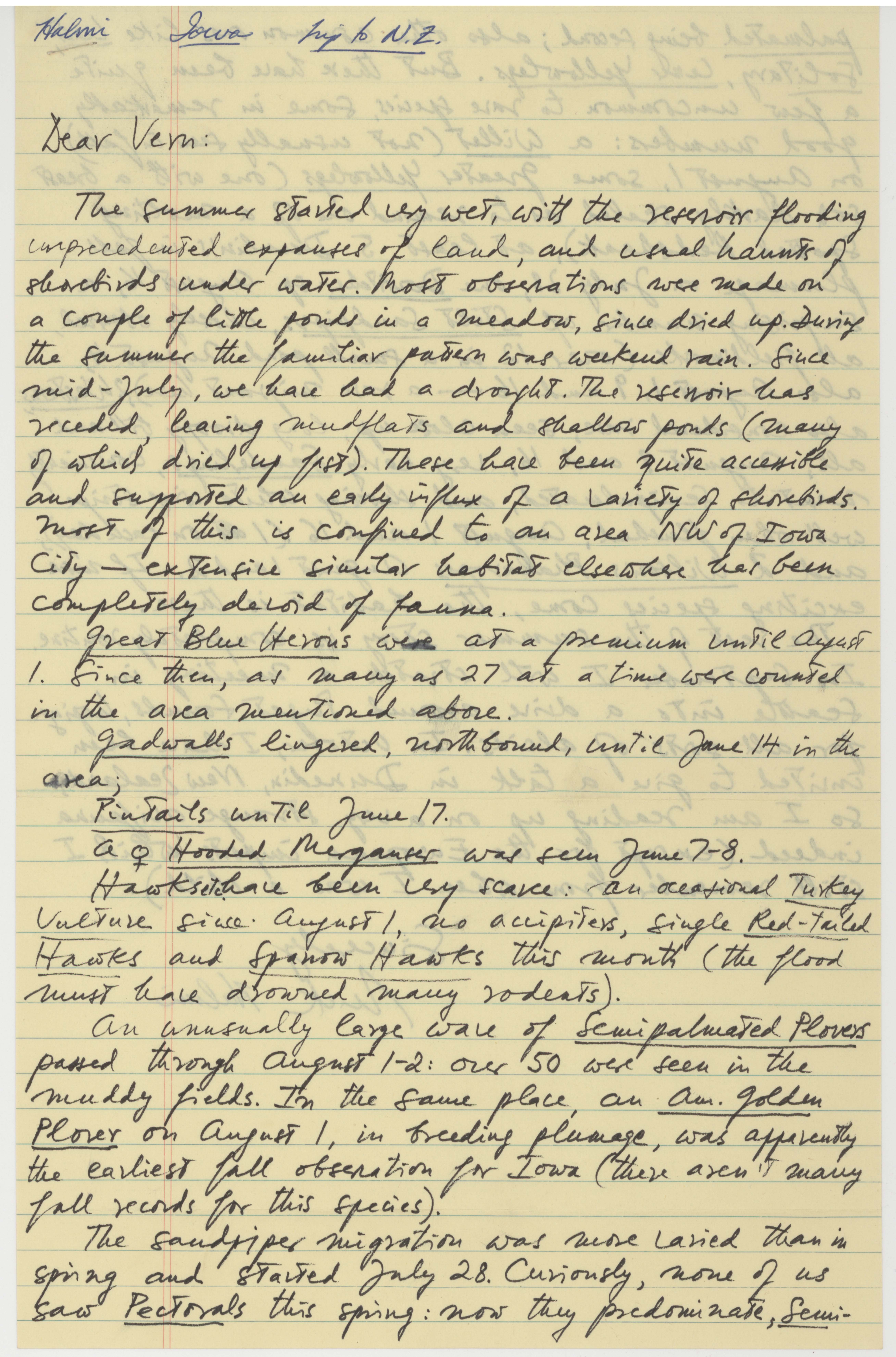 Nicholas S. Halmi letters to Vernon M. Kleen regarding birds observed during summer and fall 1973.