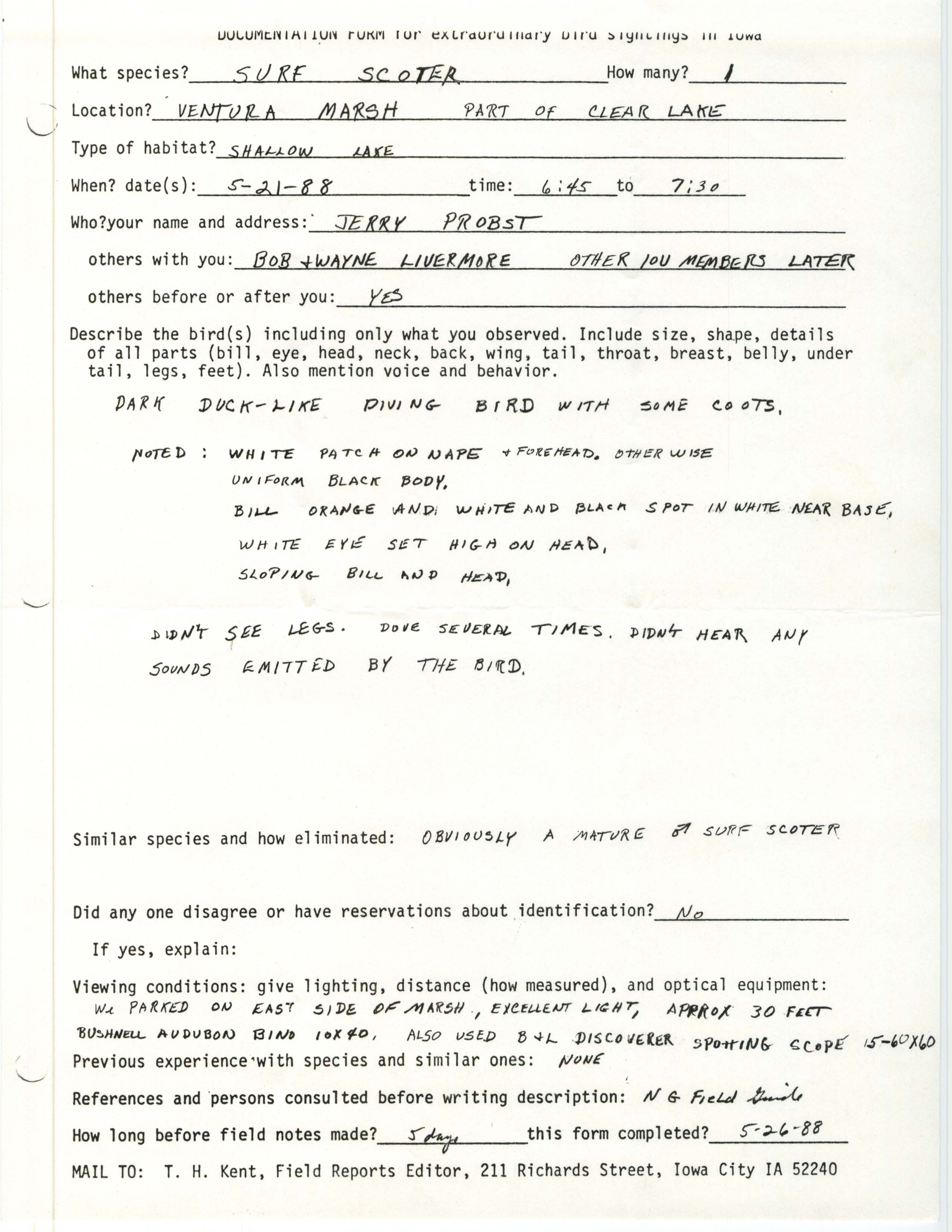 Rare bird documentation form for Surf Scoter at Ventura Marsh, 1988