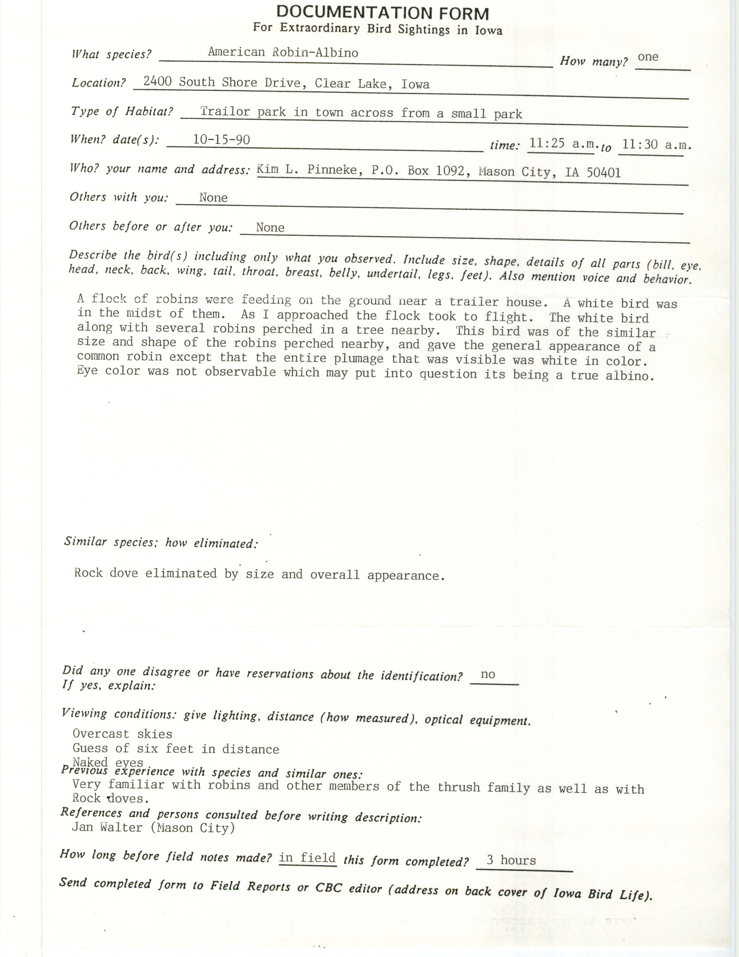 Rare bird documentation form for Albino American Robin at Clear Lake, 1990