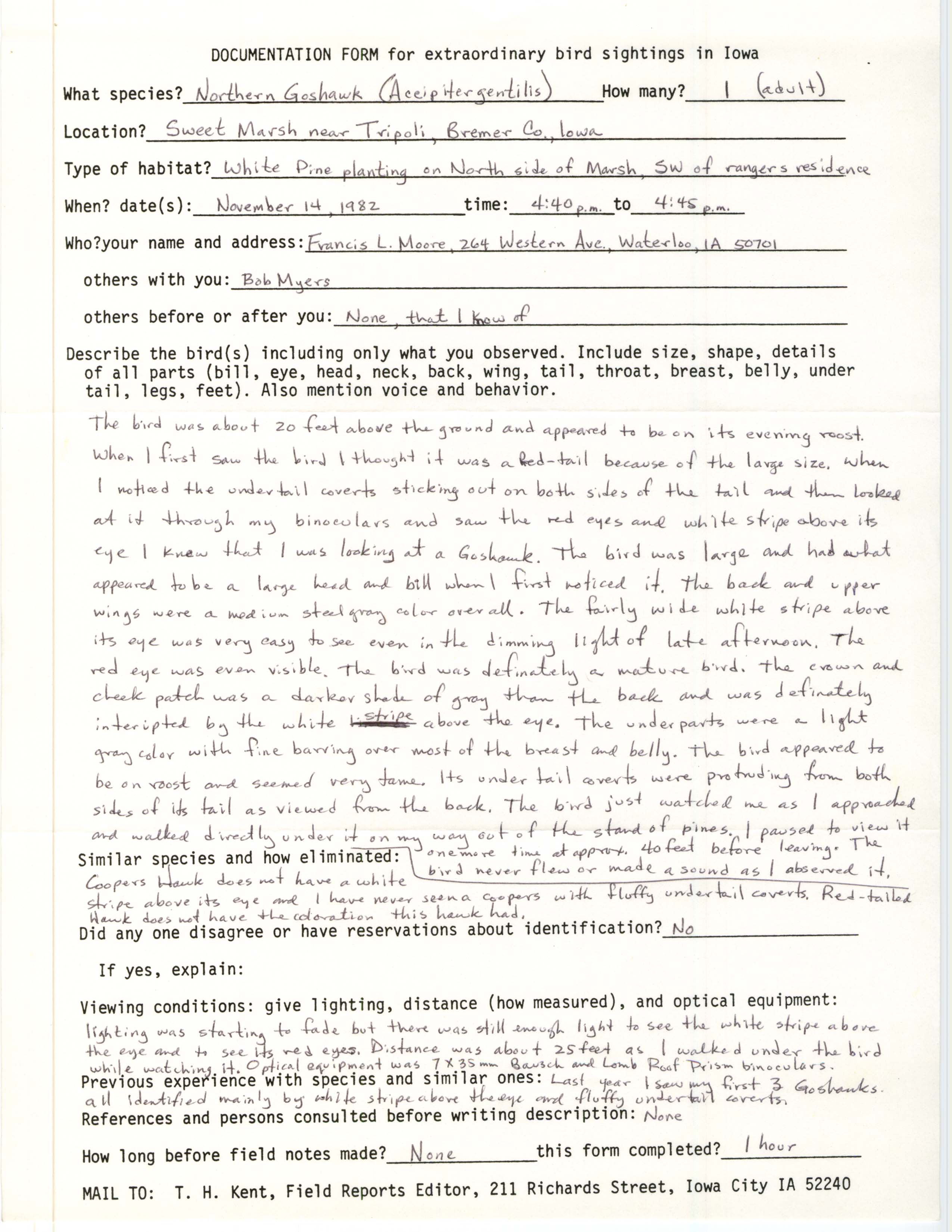 Rare bird documentation form for Northern Goshawk at Sweet Marsh, 1982