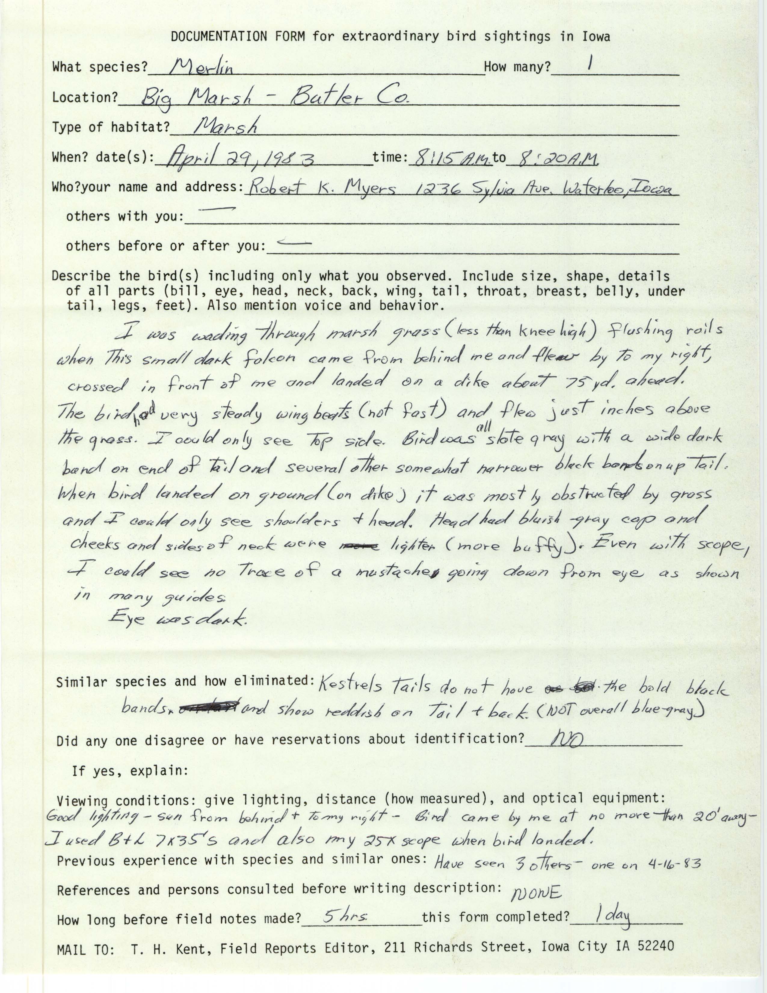Rare bird documentation form for Merlin at Big Marsh, 1983