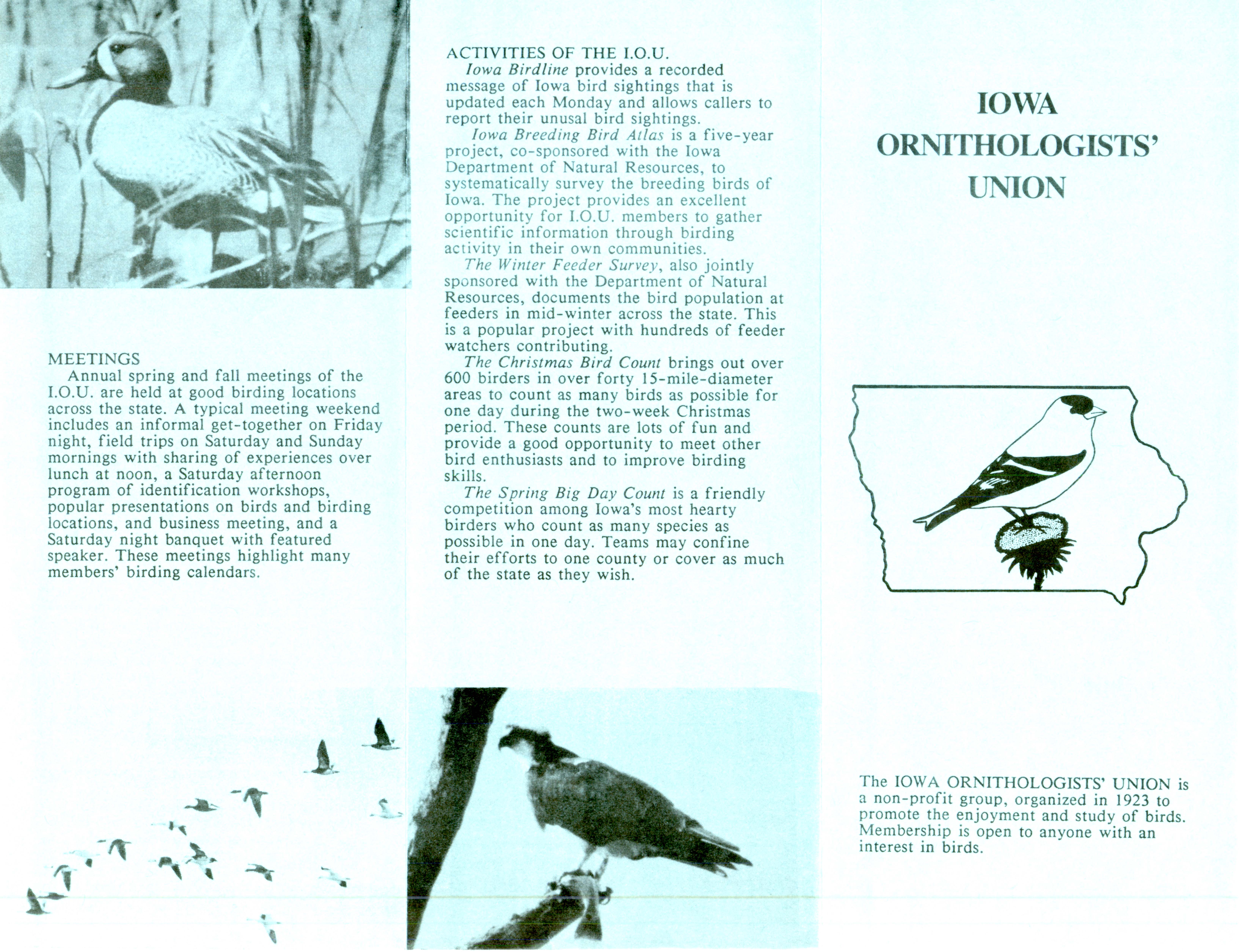 Iowa Ornithologists' Union pamphlet