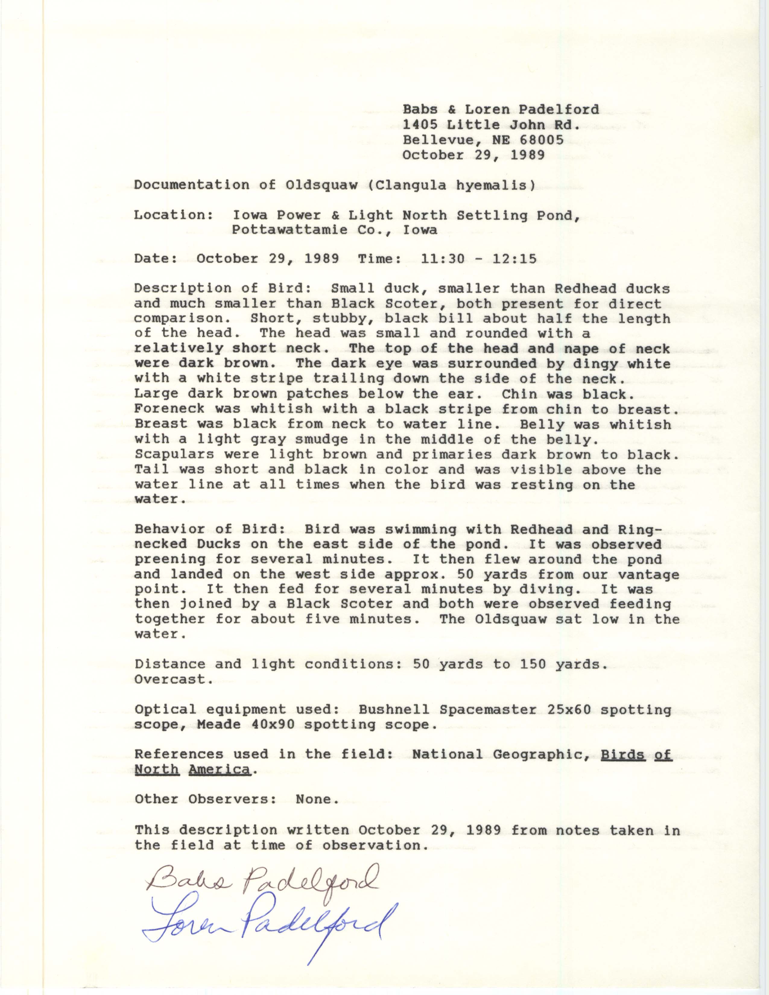 Rare bird documentation form for Long-tailed Duck at MidAmerican Energy Ponds, 1989