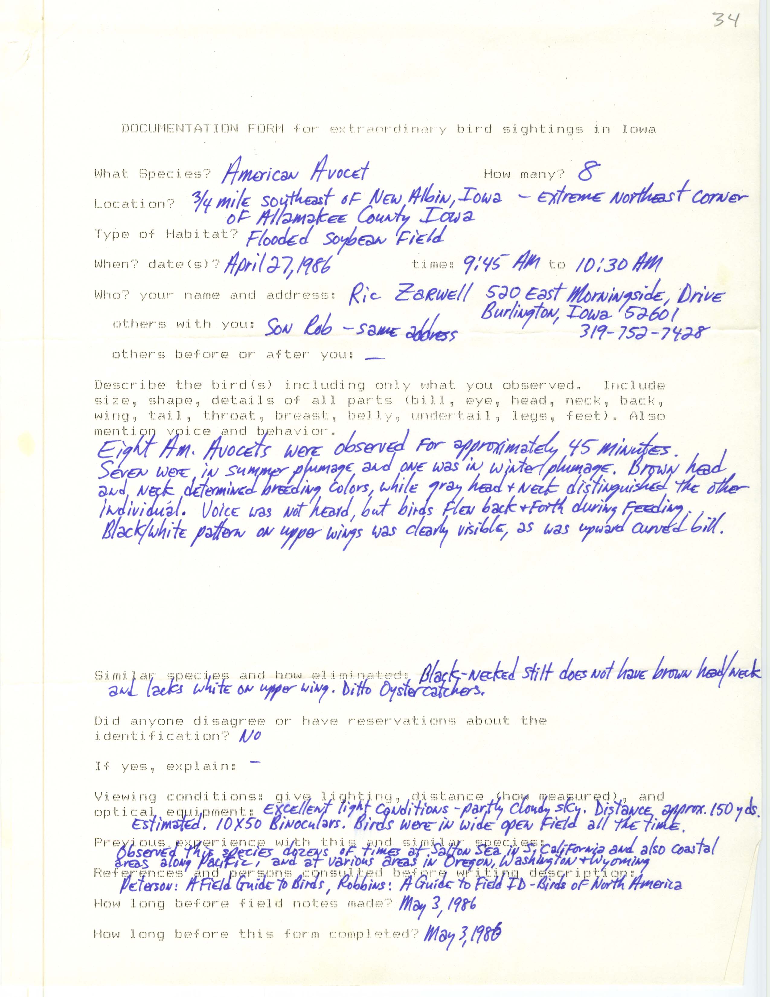 Rare bird documentation form for American Avocet southeast of New Albin, 1986