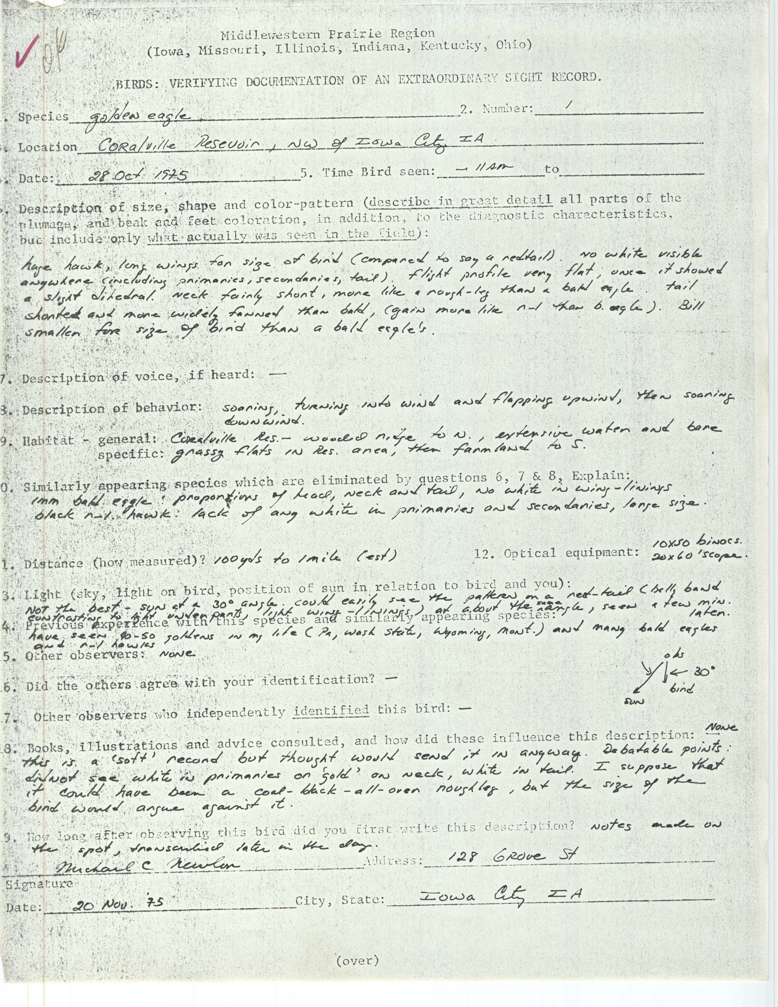 Rare bird documentation form for Golden Eagle at Coralville Reservoir, 1975