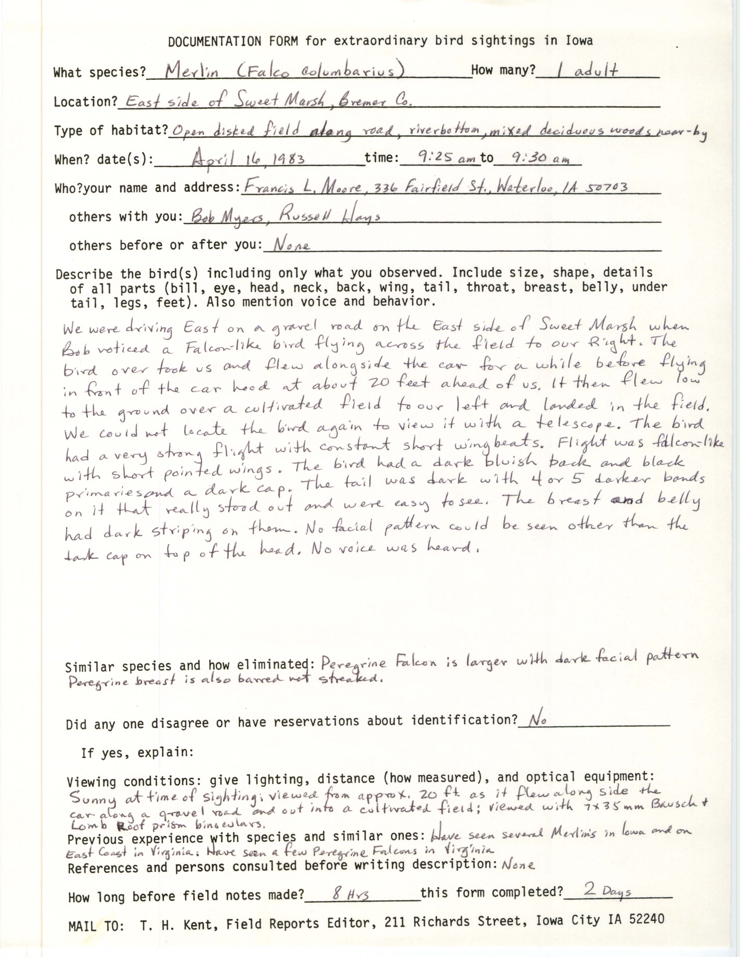 Rare bird documentation form for Merlin east side of Sweet Marsh, 1983