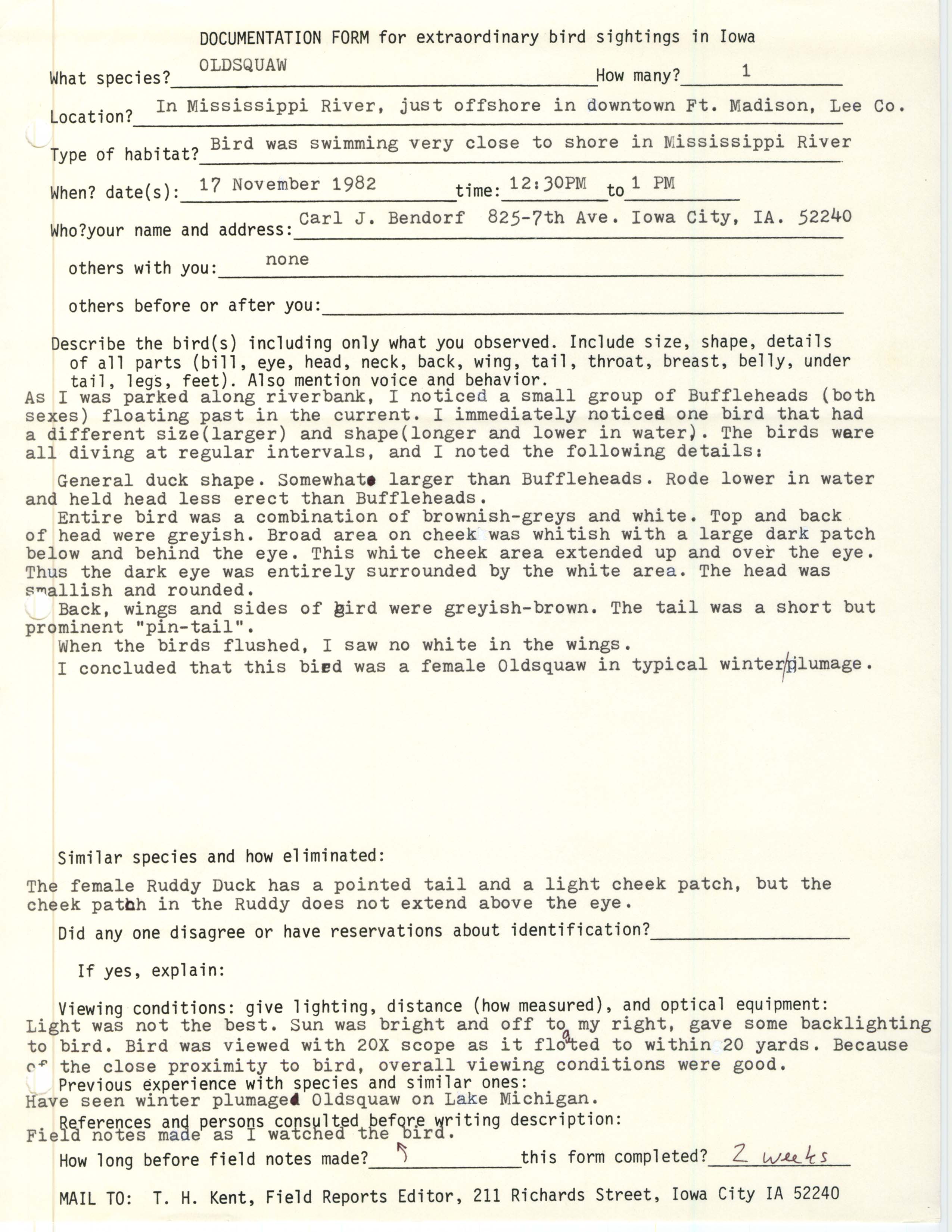 Rare bird documentation form for Long-tailed Duck at Fort Madison, 1982