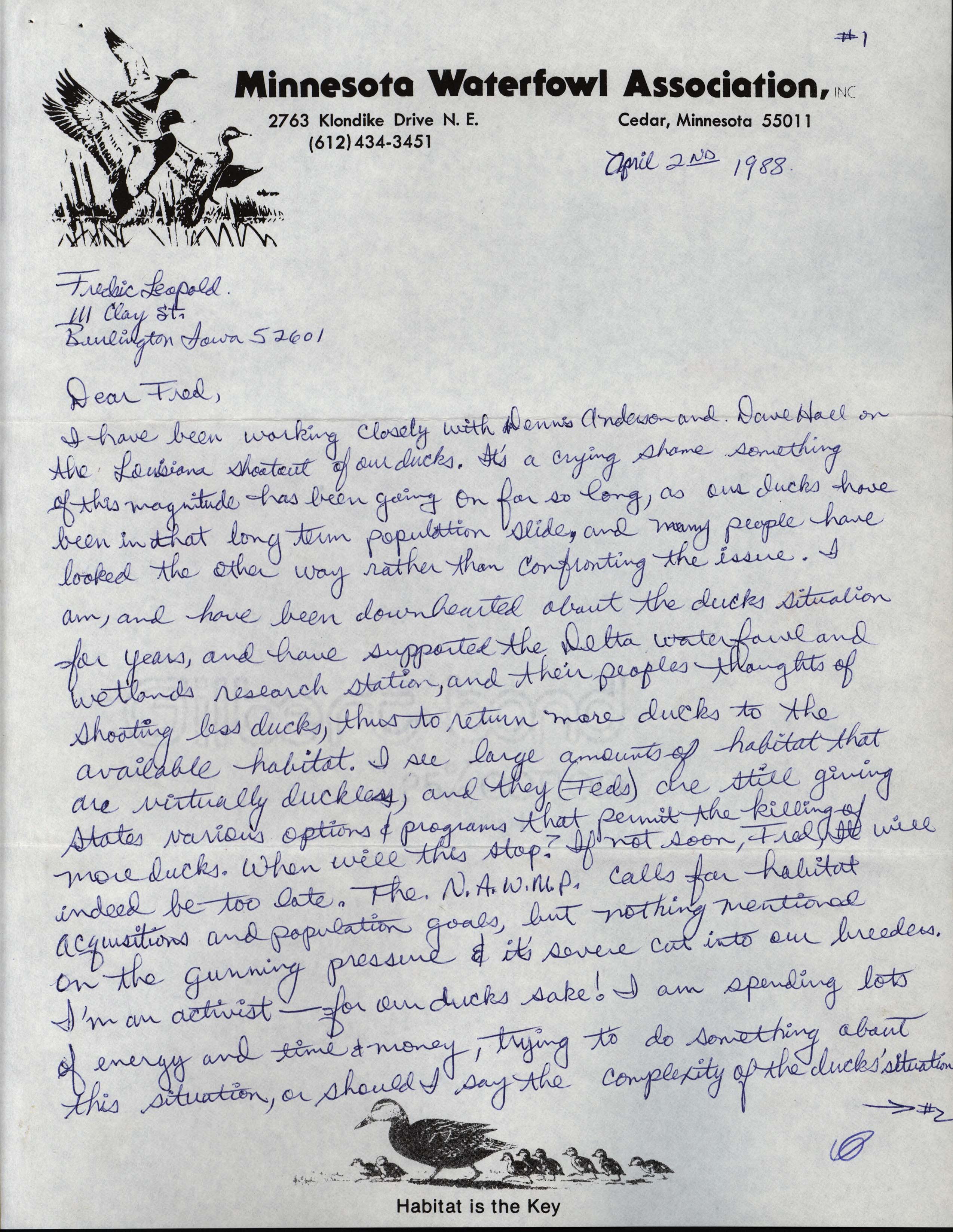 Bill Gombold letter to Frederic Leopold regarding duck conservation, April 2, 1988