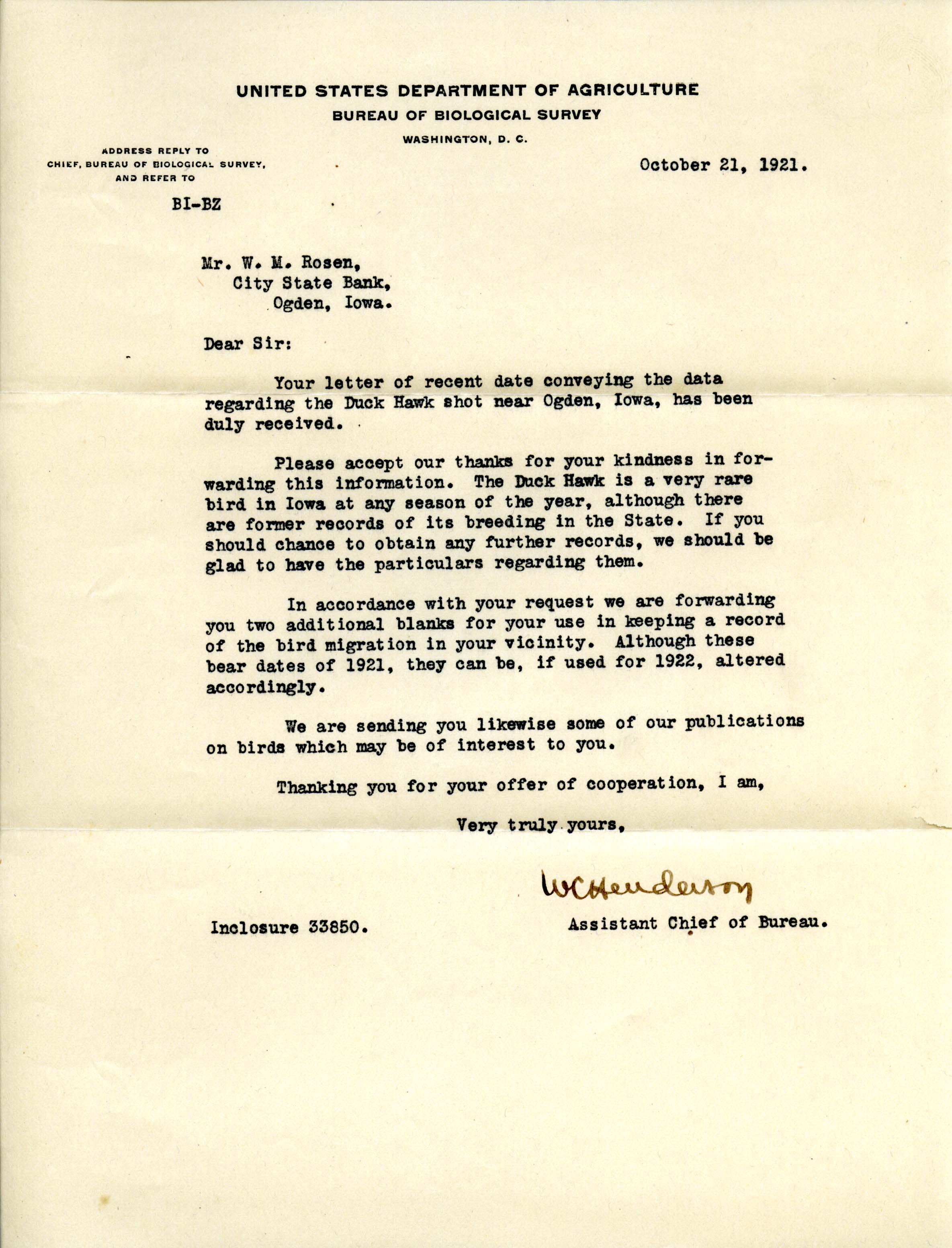 Walter C. Henderson letter to Walter Rosene regarding a Duck Hawk shot near Ogden, October 21, 1921
