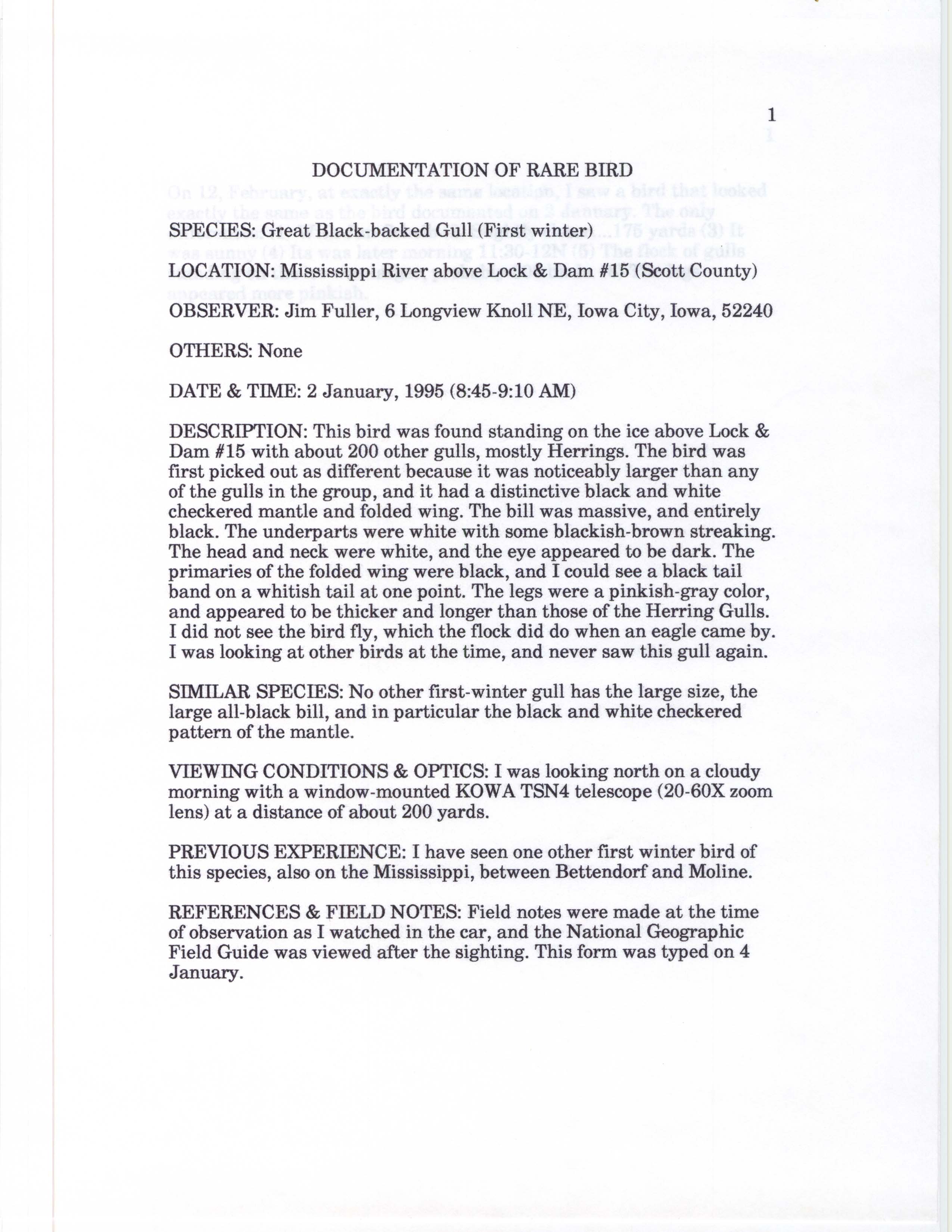 Rare bird documentation form for Great Black-backed Gull at Lock and Dam 15, 1995