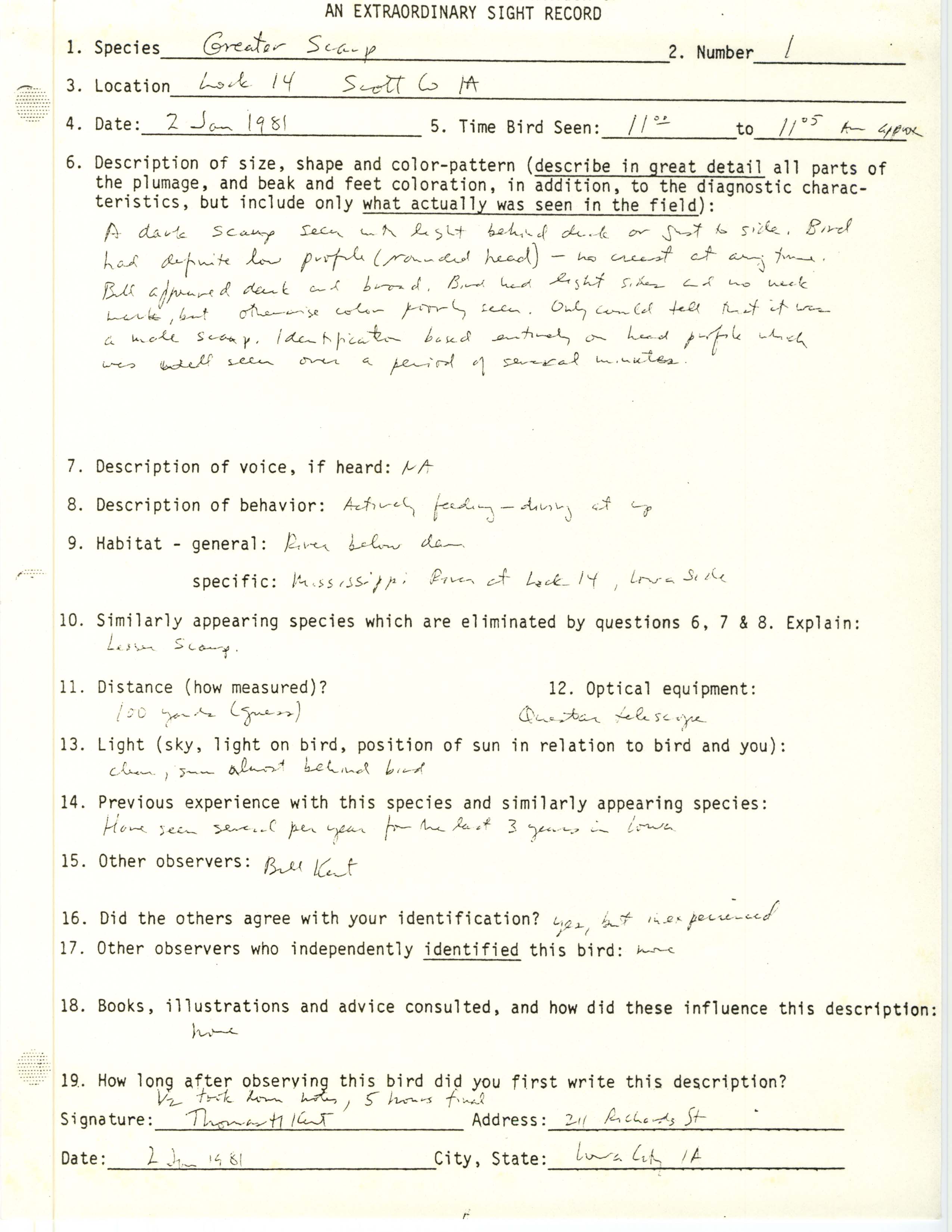 Rare bird documentation form for Greater Scaup at Lock 14, 1981