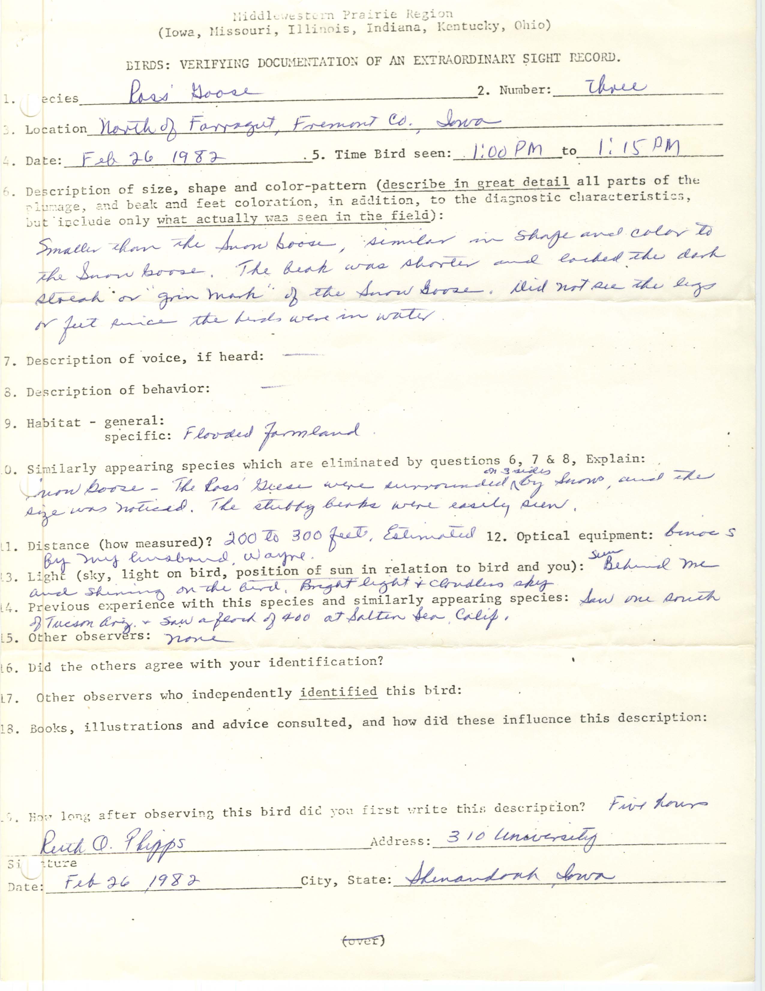 Rare bird documentation form for Ross' Goose at Farragut, 1982