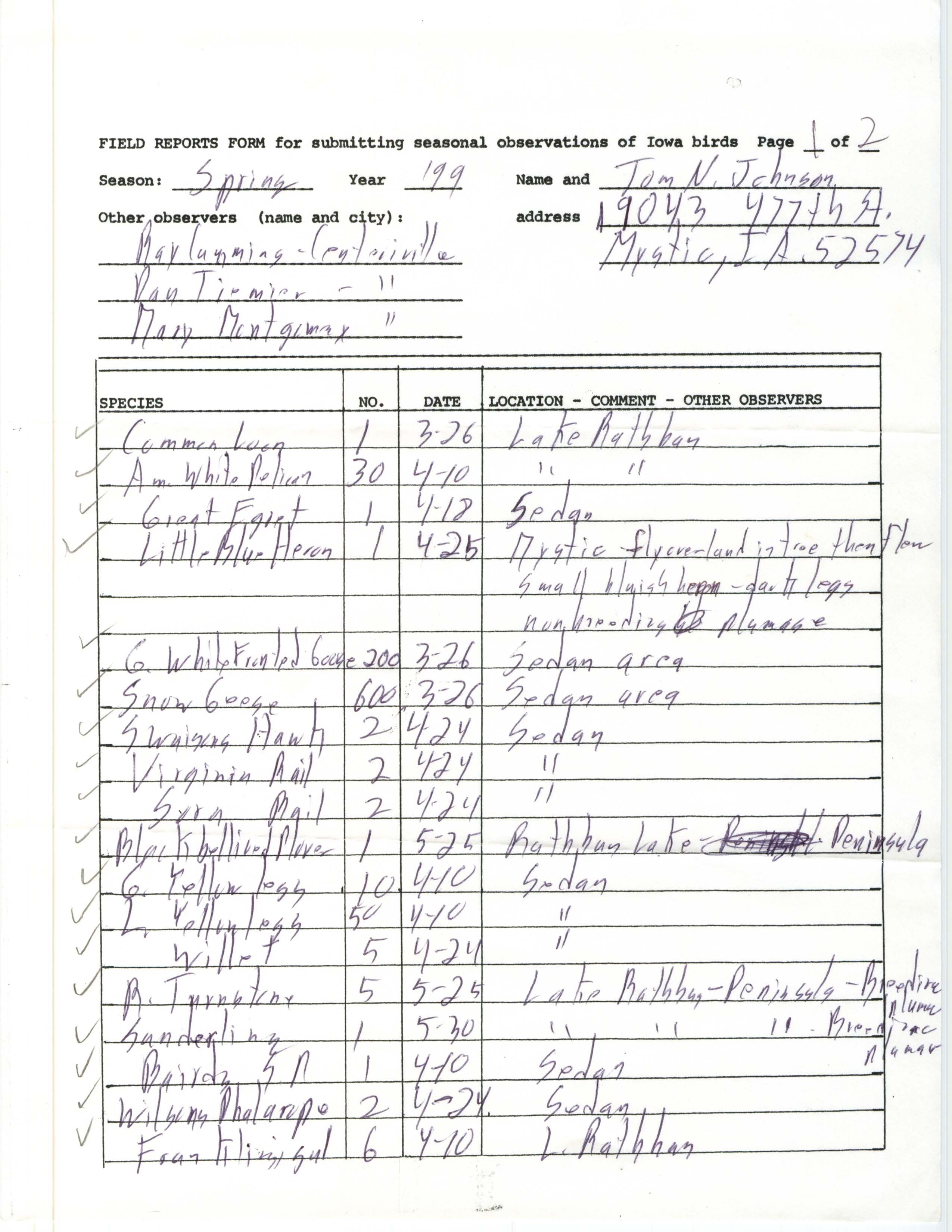 Field reports form for submitting seasonal observations of Iowa birds, Tom Johnson, spring 1999