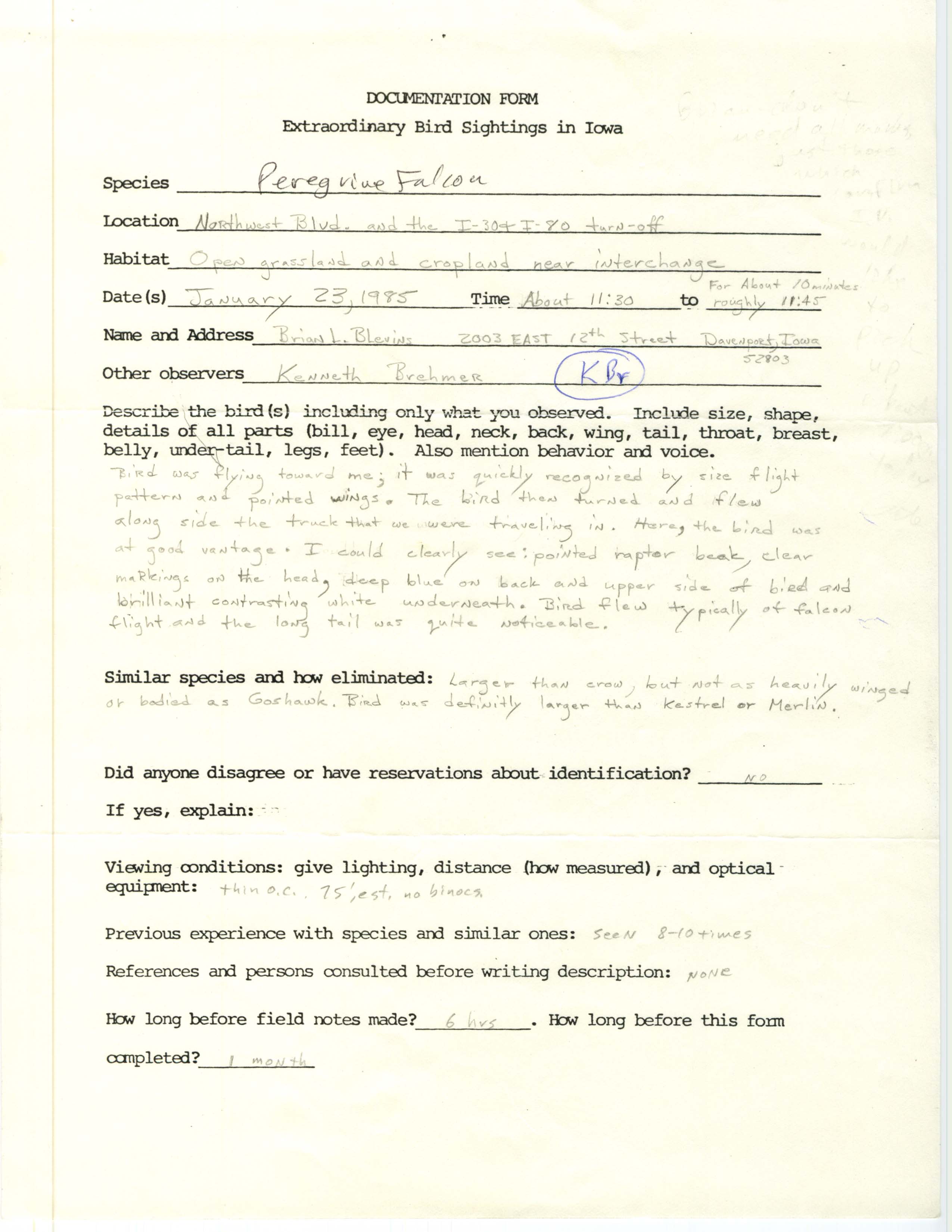 Rare bird documentation form for Peregrine Falcon at the interchange of IA-130 and Interstate 80 in Davenport, 1985