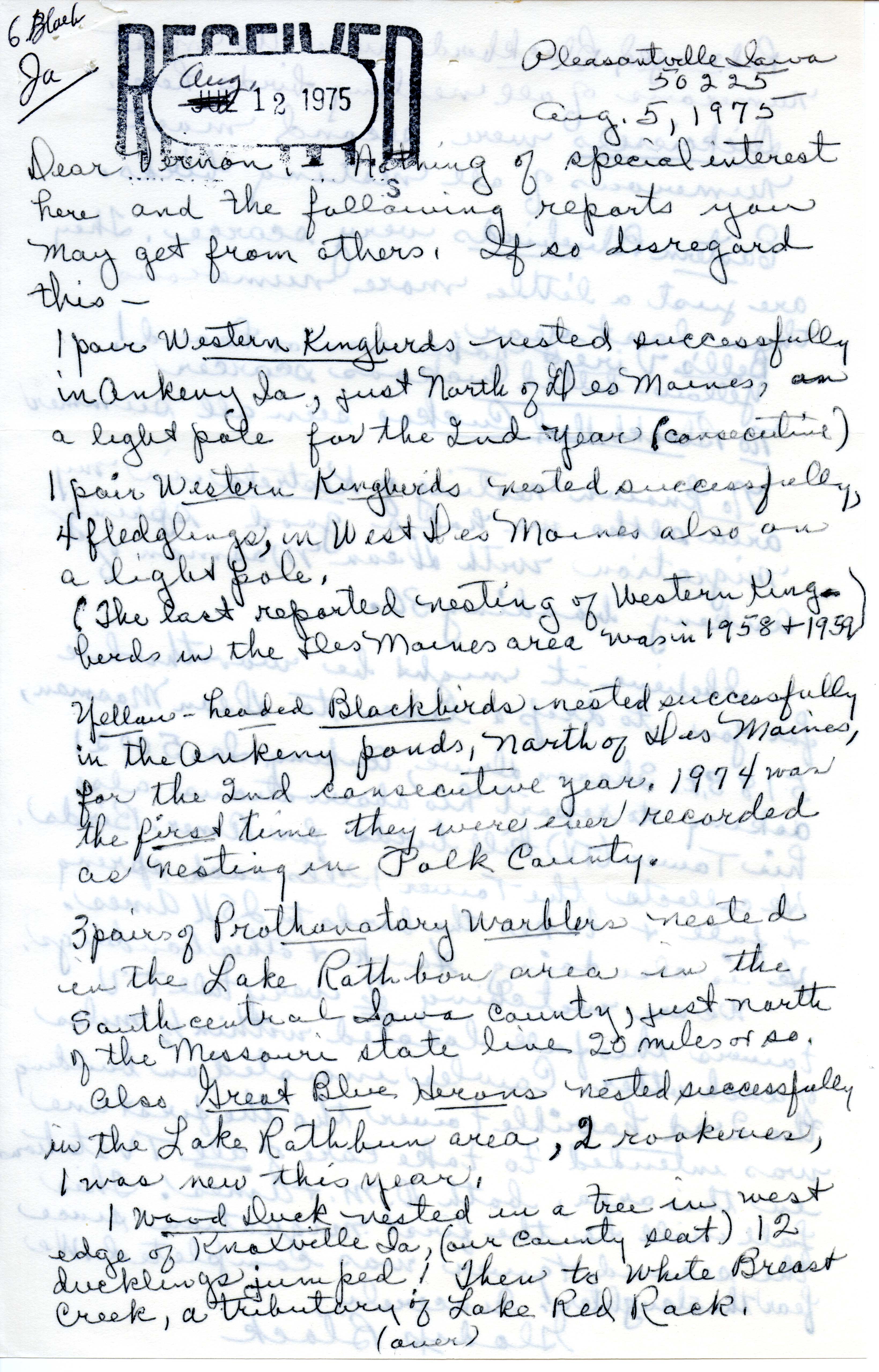 Gladys Black letter to Vernon M. Kleen regarding birds sighted during breeding season 1975, August 5, 1975