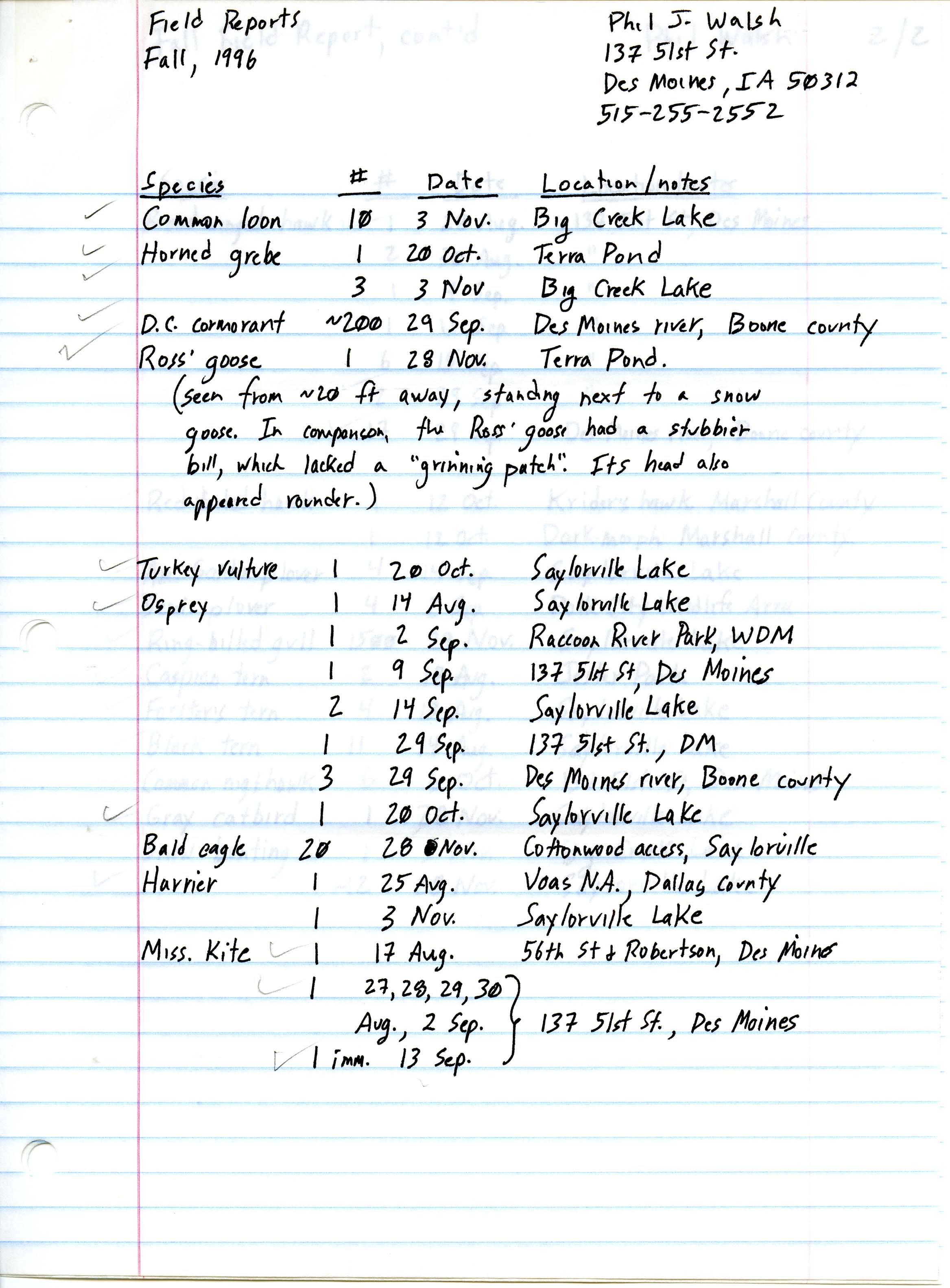 Field notes contributed by Philip J. Walsh, fall 1996