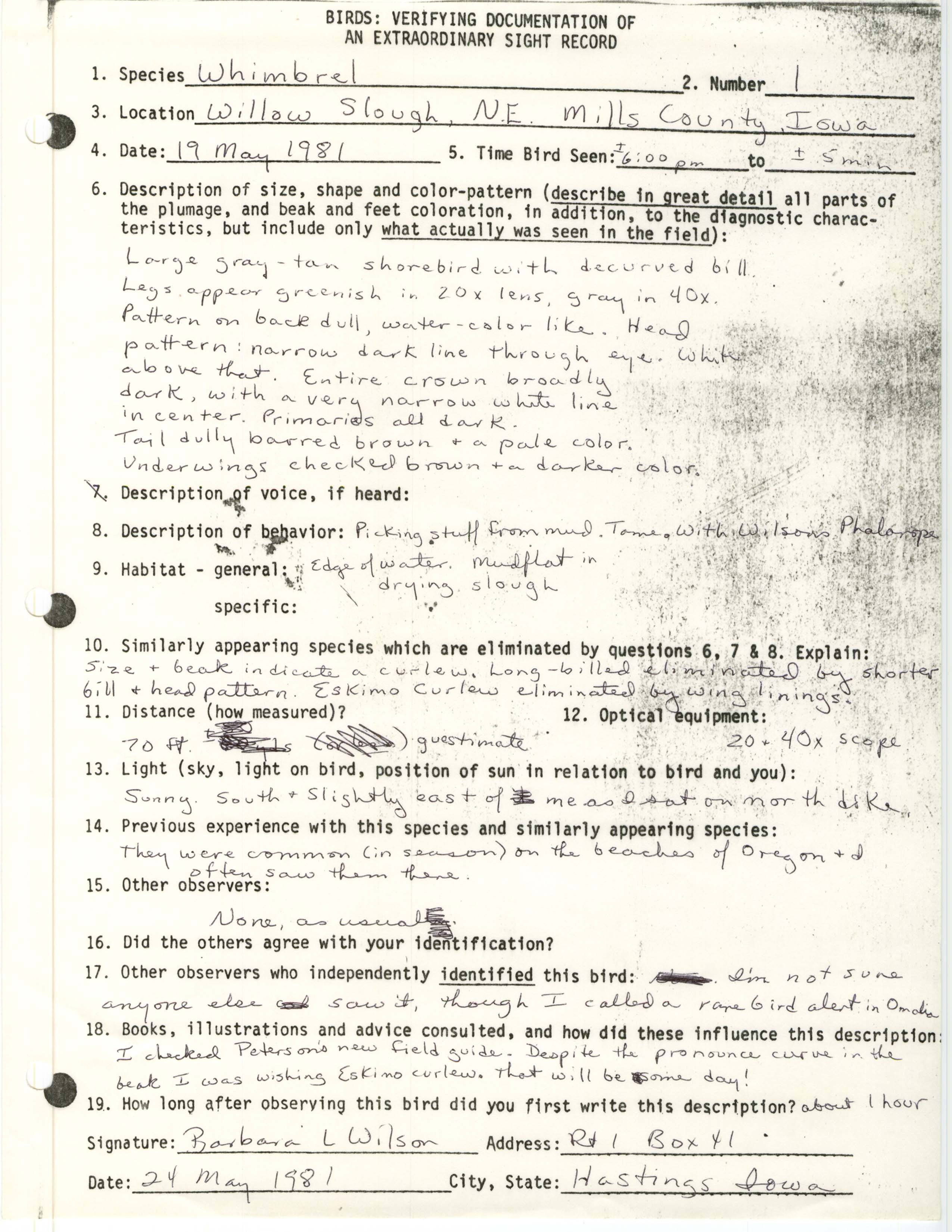 Rare bird documentation form for Whimbrel at Willow Slough, 1981