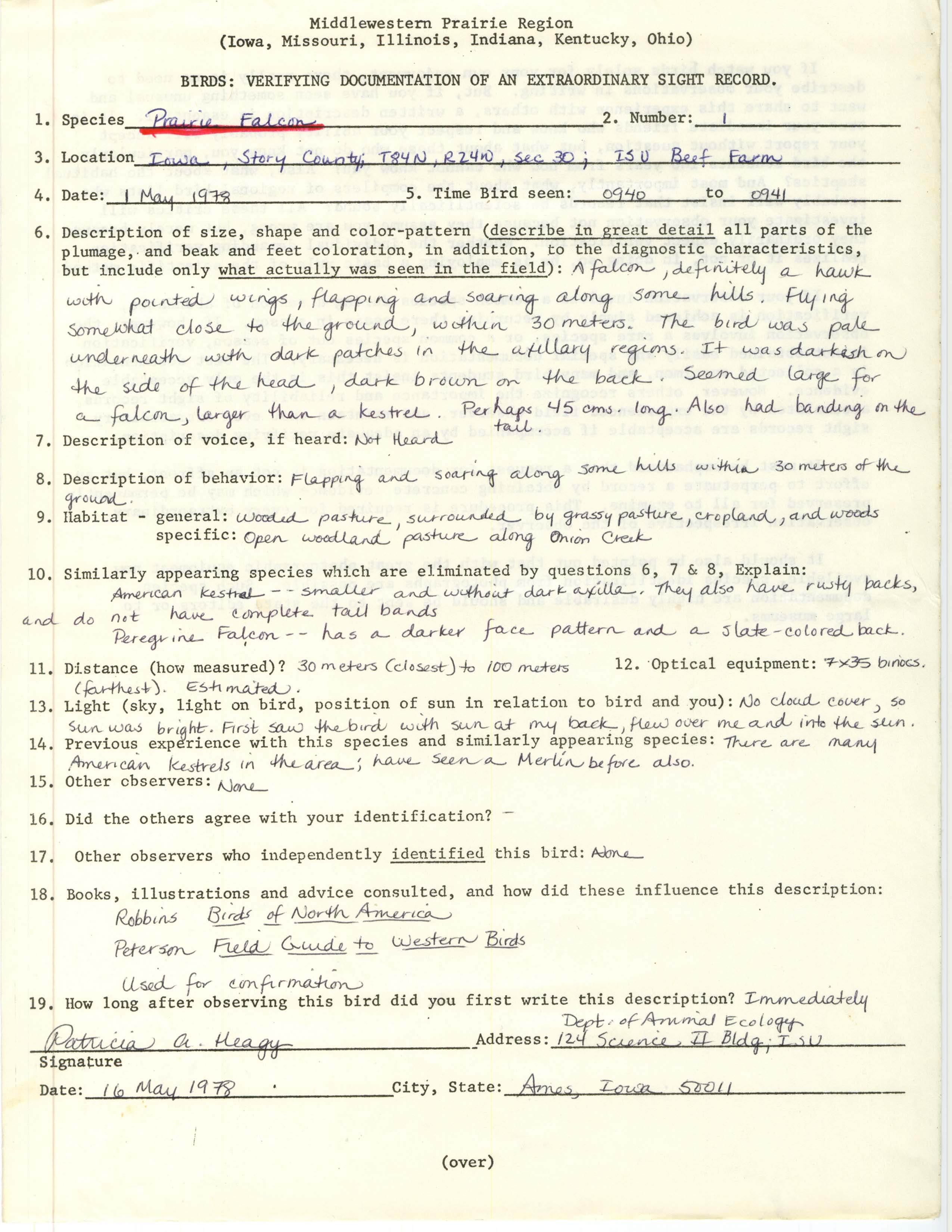 Rare bird documentation form for Prairie Falcon at Iowa State University Beef Farm, 1978
