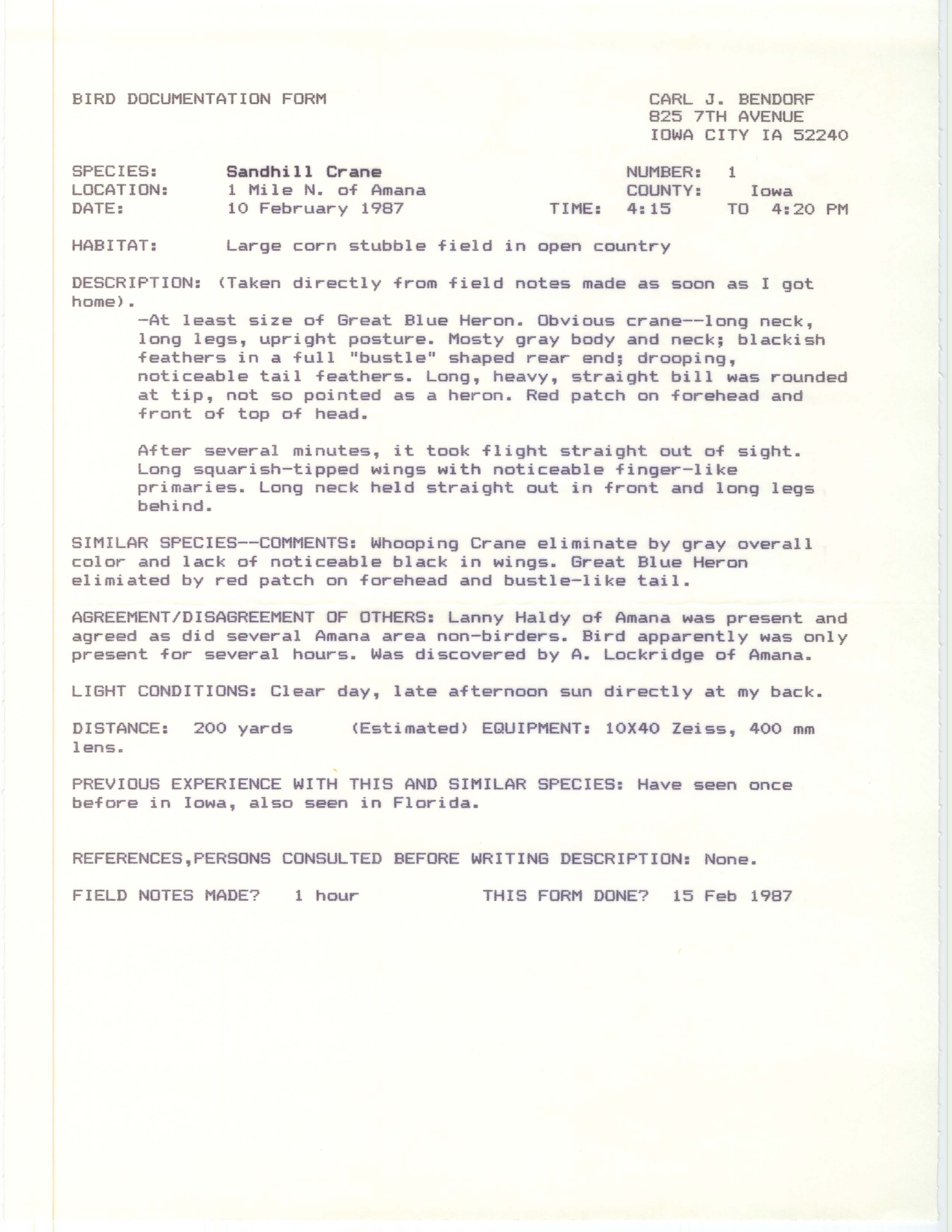 Rare bird documentation form for Sandhill Crane north of Amana, 1987