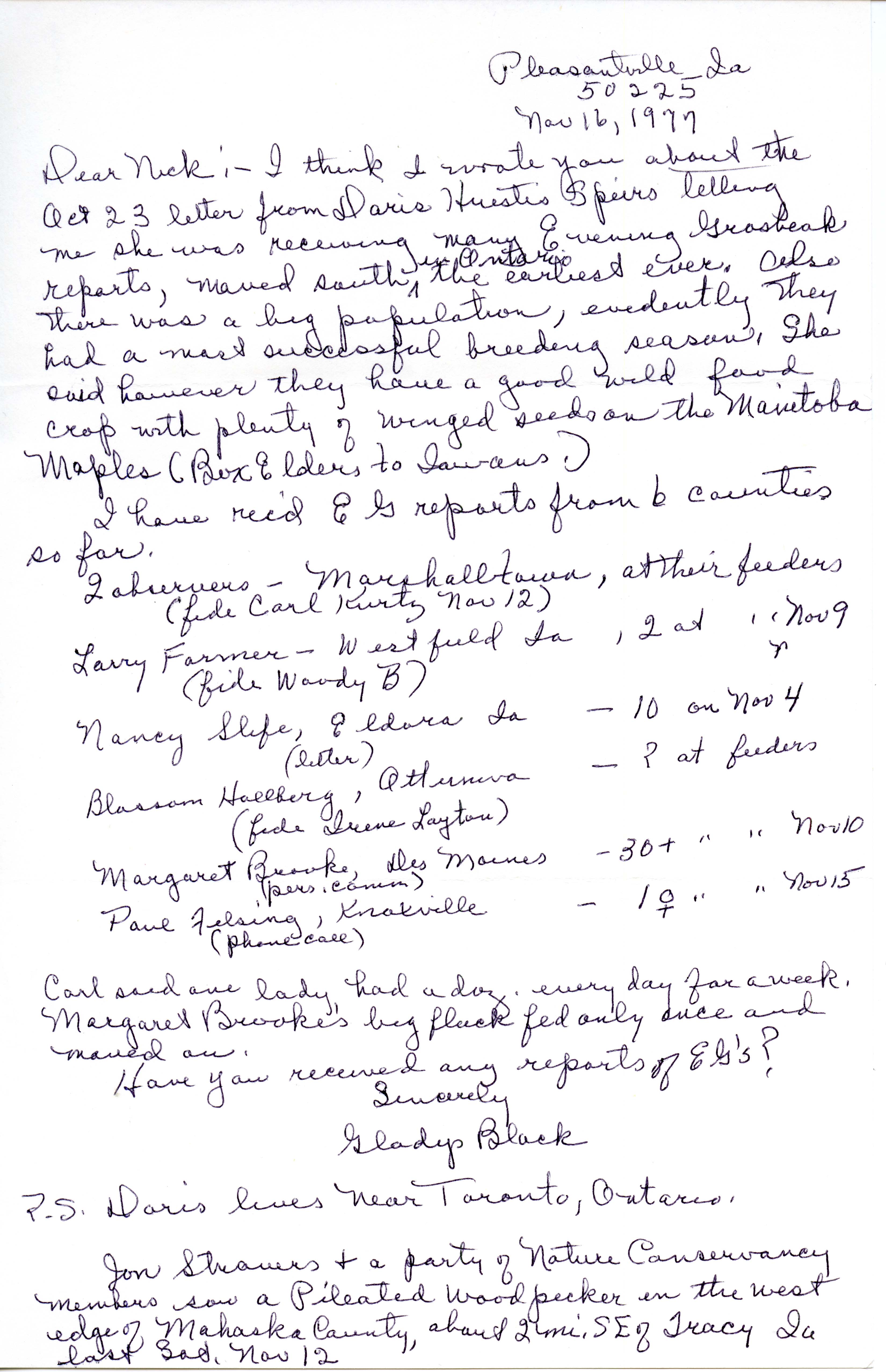 Gladys Black letter to Nicholas S. Halmi regarding the large population of Evening Grosbeak's, November 16, 1977