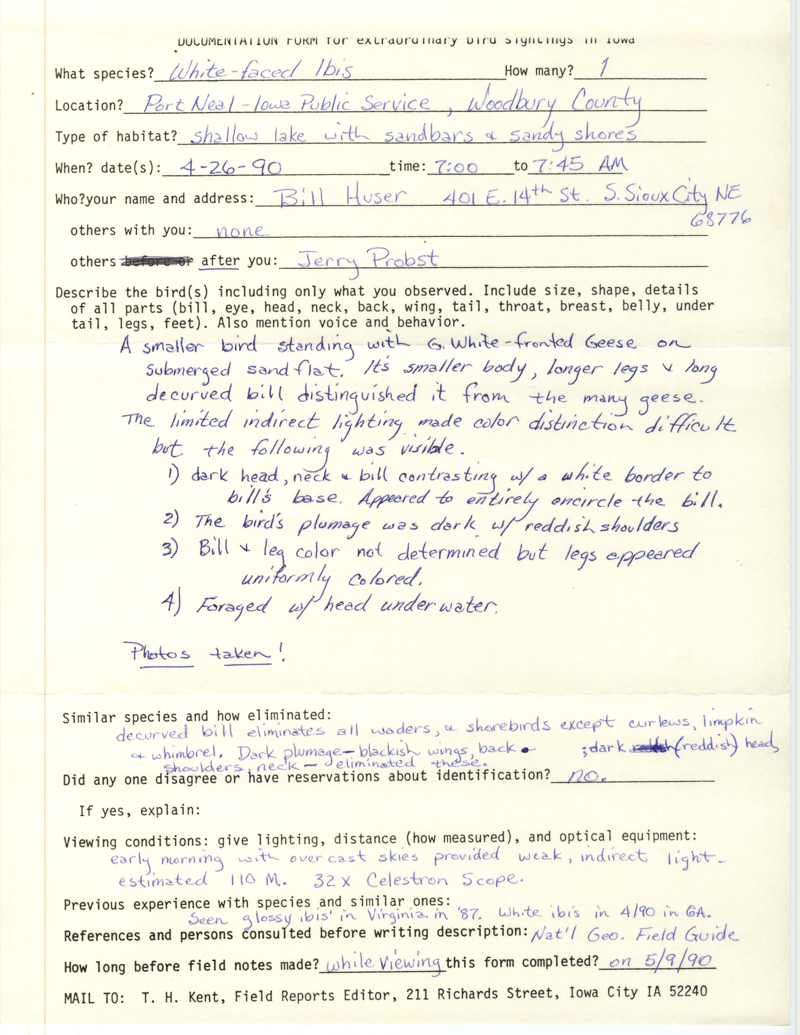Rare bird documentation form for White-faced Ibis at Woodbury County, 1990