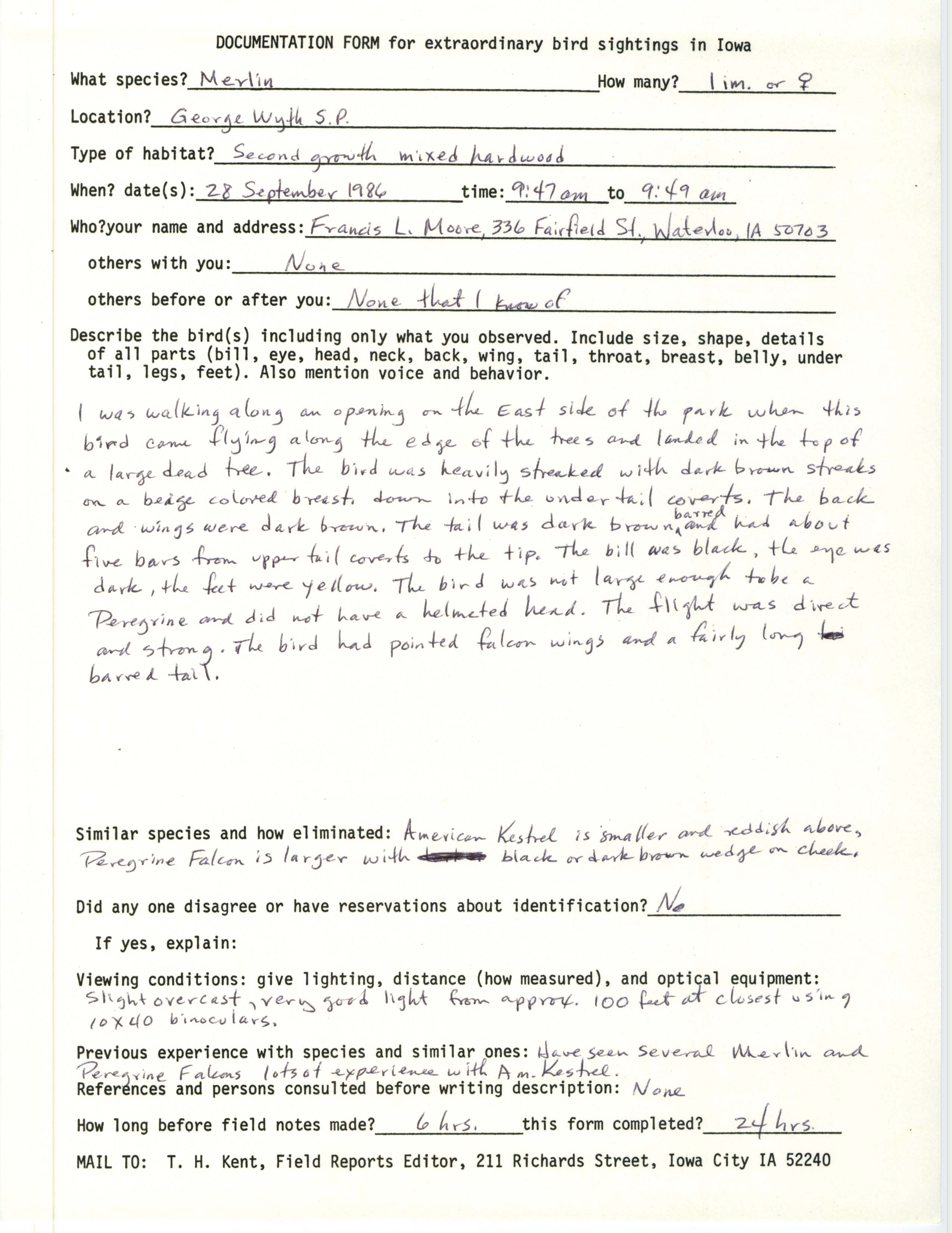 Rare bird documentation form for Merlin at George Wyth State Park, 1986