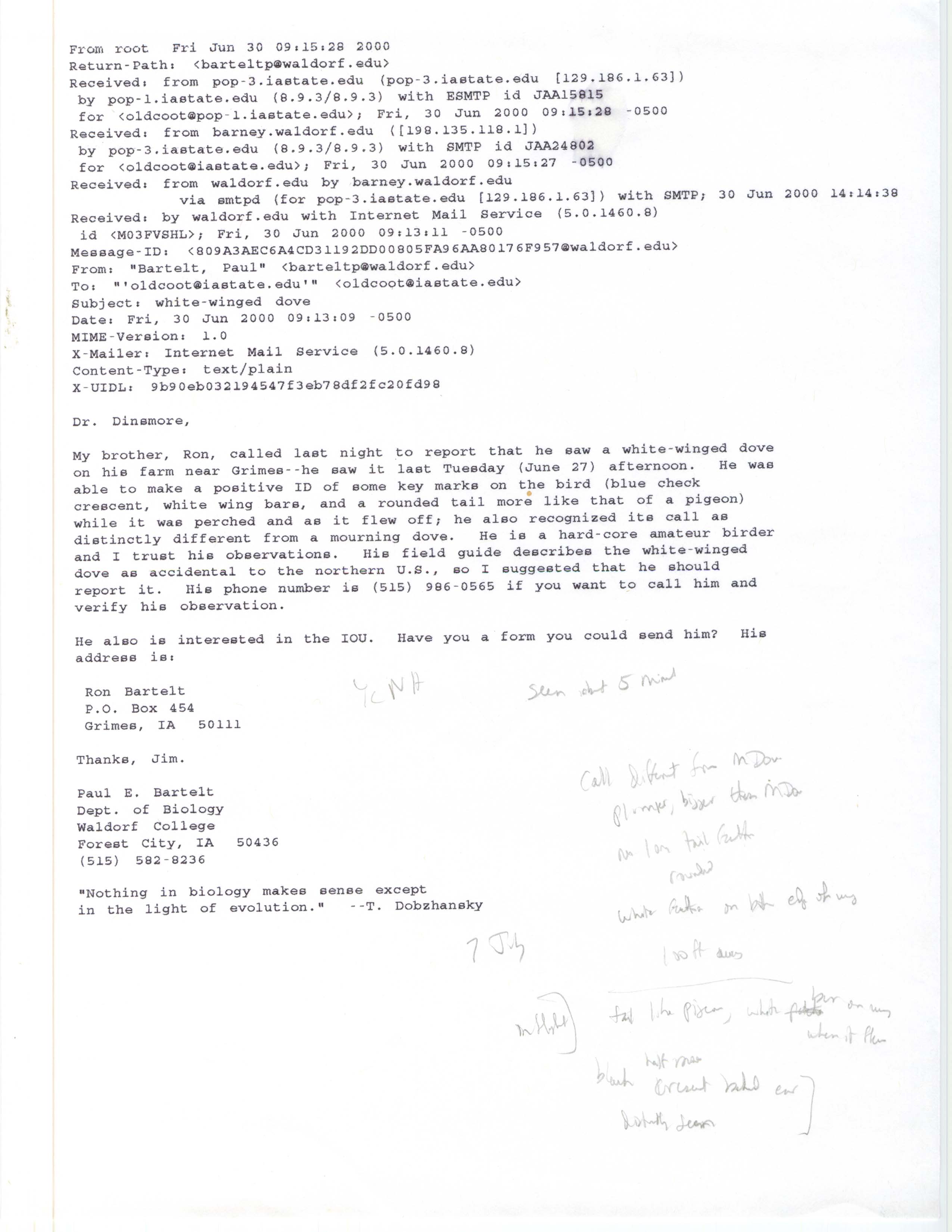 Paul Bartelt email to James J. Dinsmore regarding a White-winged Dove sighting, June 30, 2000