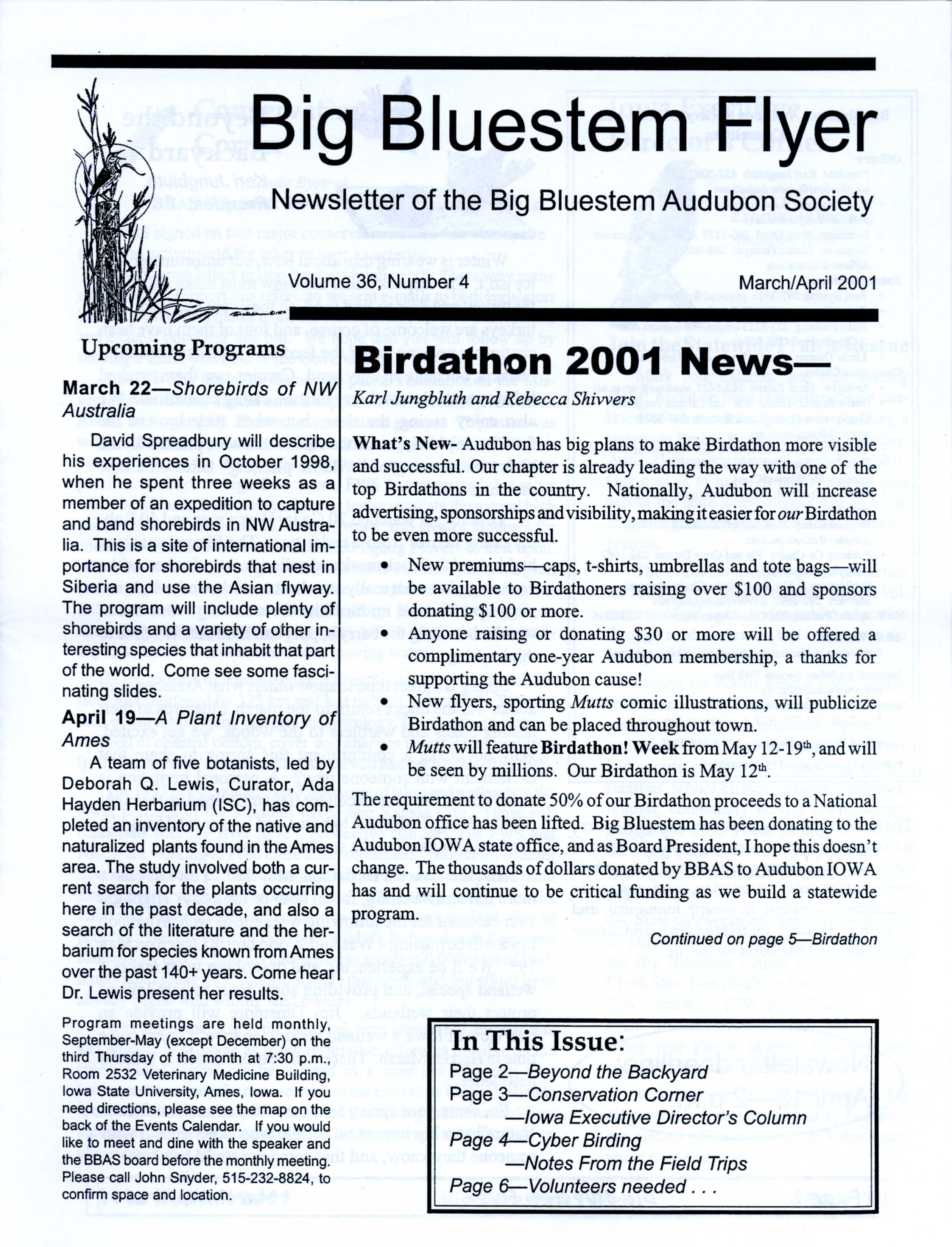 Big Bluestem Flyer, Volume 36, Number 4, March/April 2001