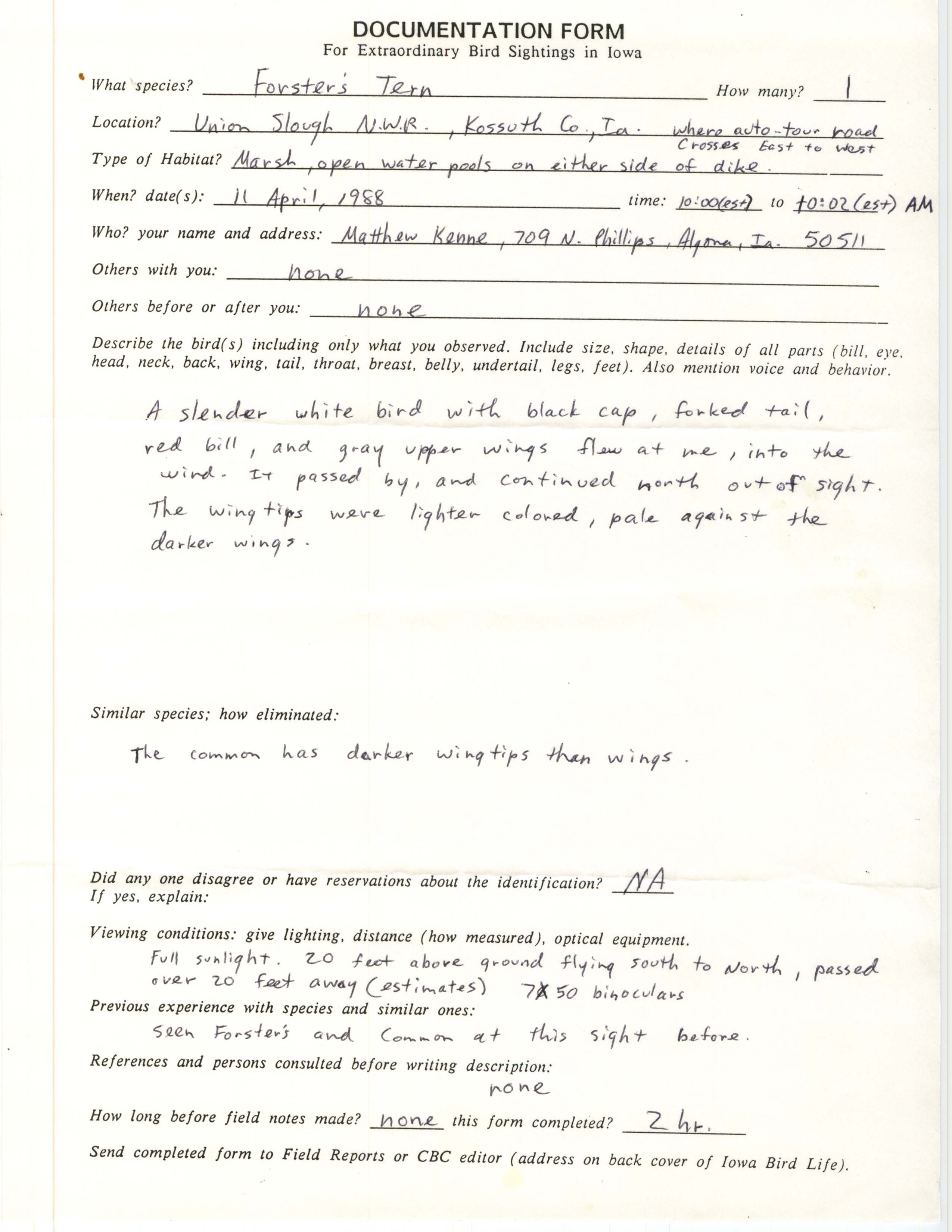 Rare bird documentation form for Forster's Tern at Union Slough National Wildlife Refuge, 1988