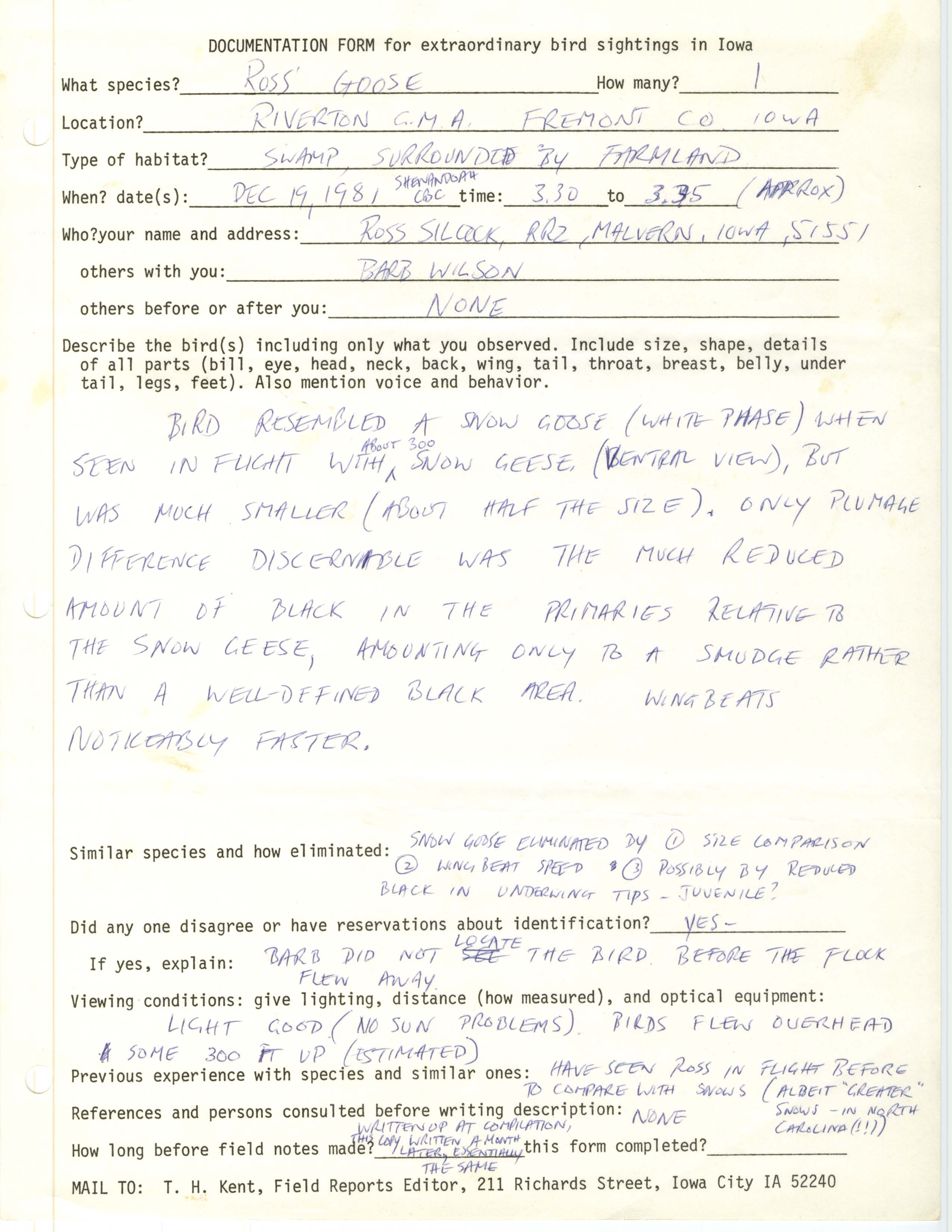 Rare bird documentation form for Ross' Goose at Riverton Game Management Area, 1981
