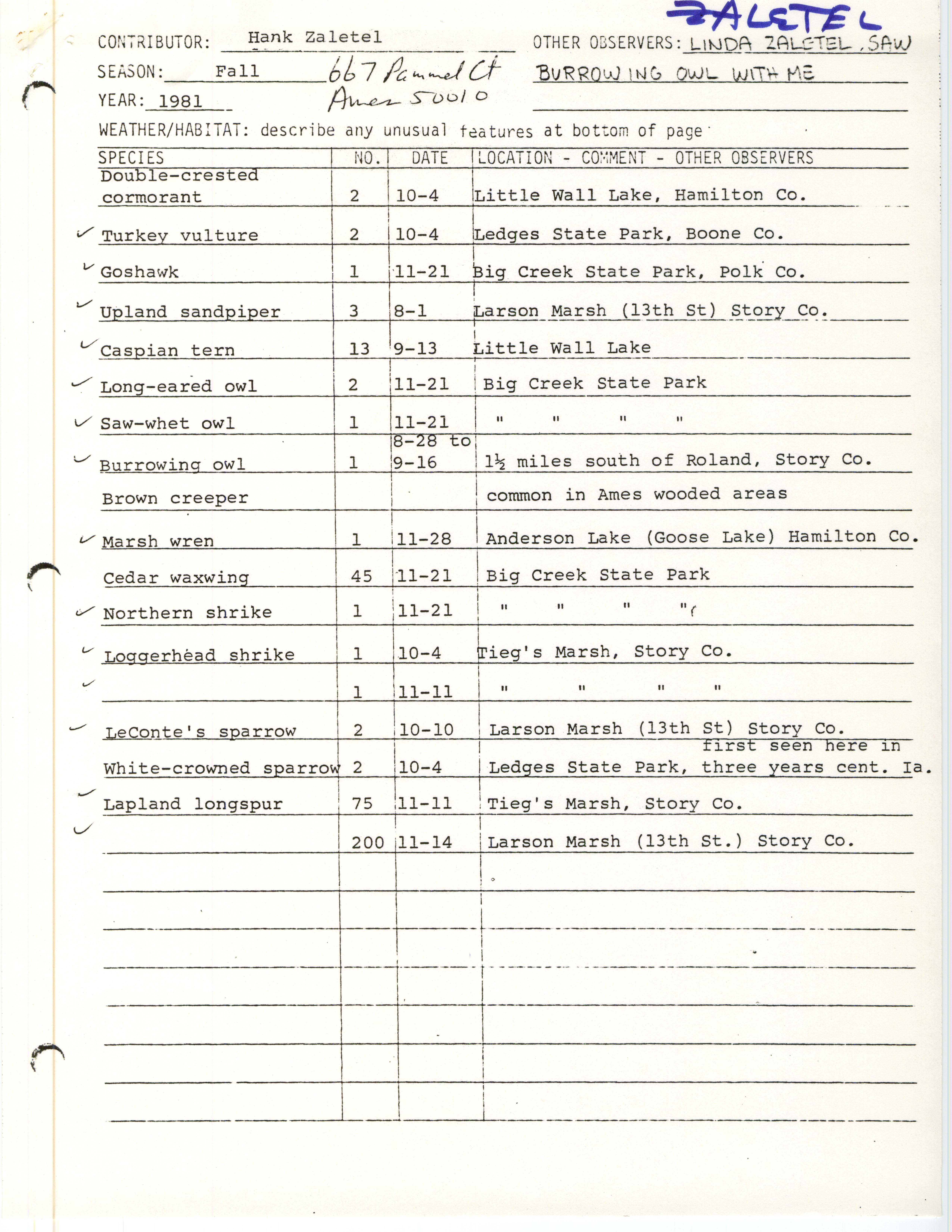 Field notes contributed by Hank Zaletel, fall 1981