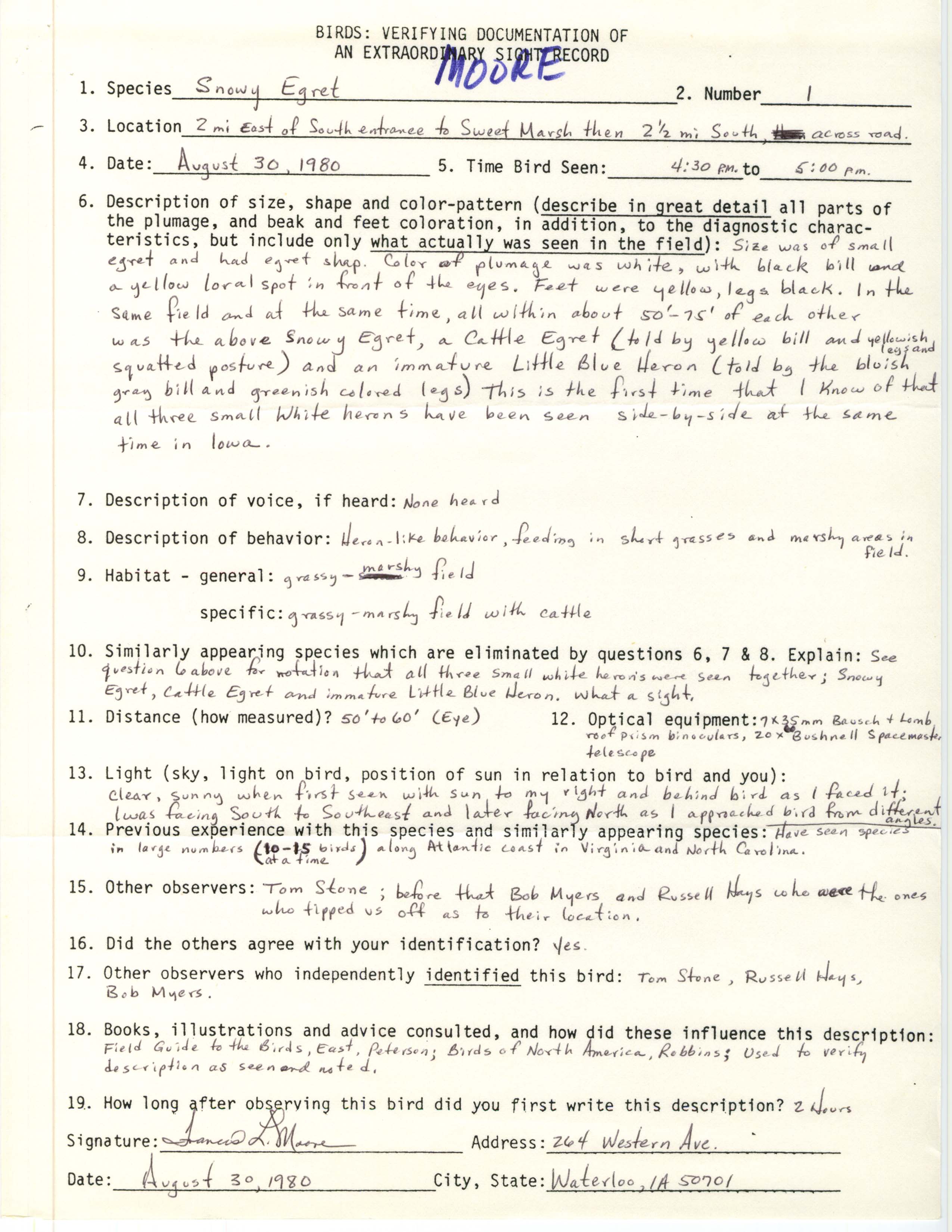 Rare bird documentation form for Snowy Egret at Sweet Marsh, 1980