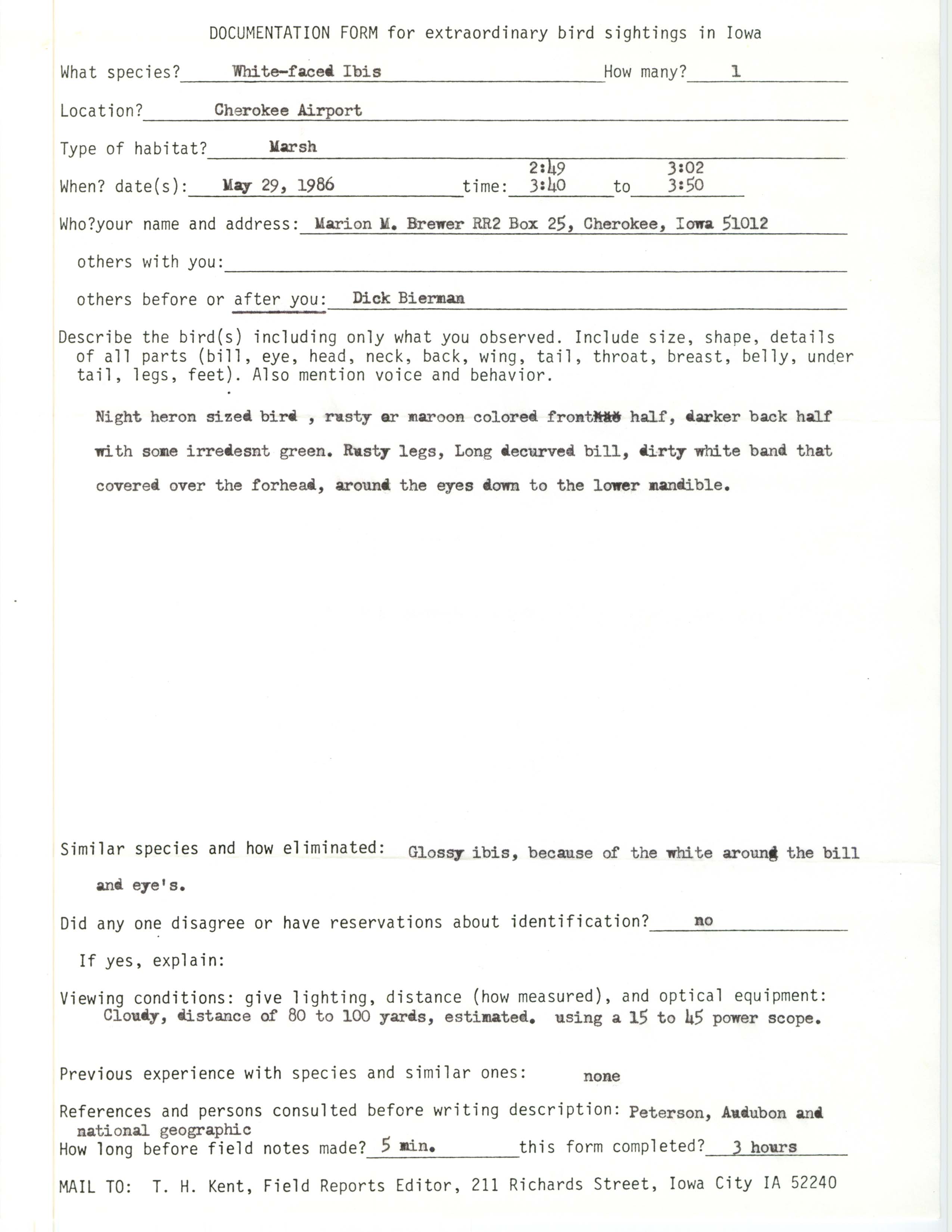 Rare bird documentation form for White-faced Ibis at Cherokee Airport, 1986