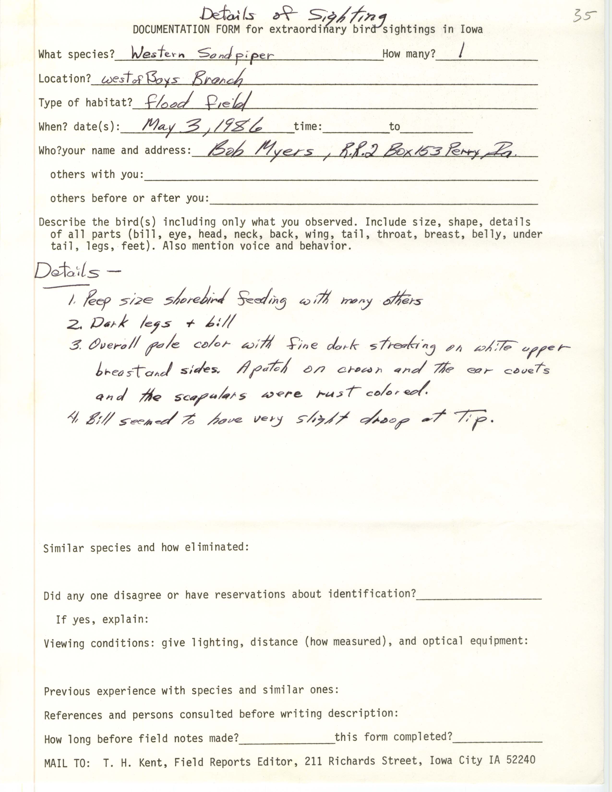 Rare bird documentation form for Western Sandpiper at Bays Branch in 1986