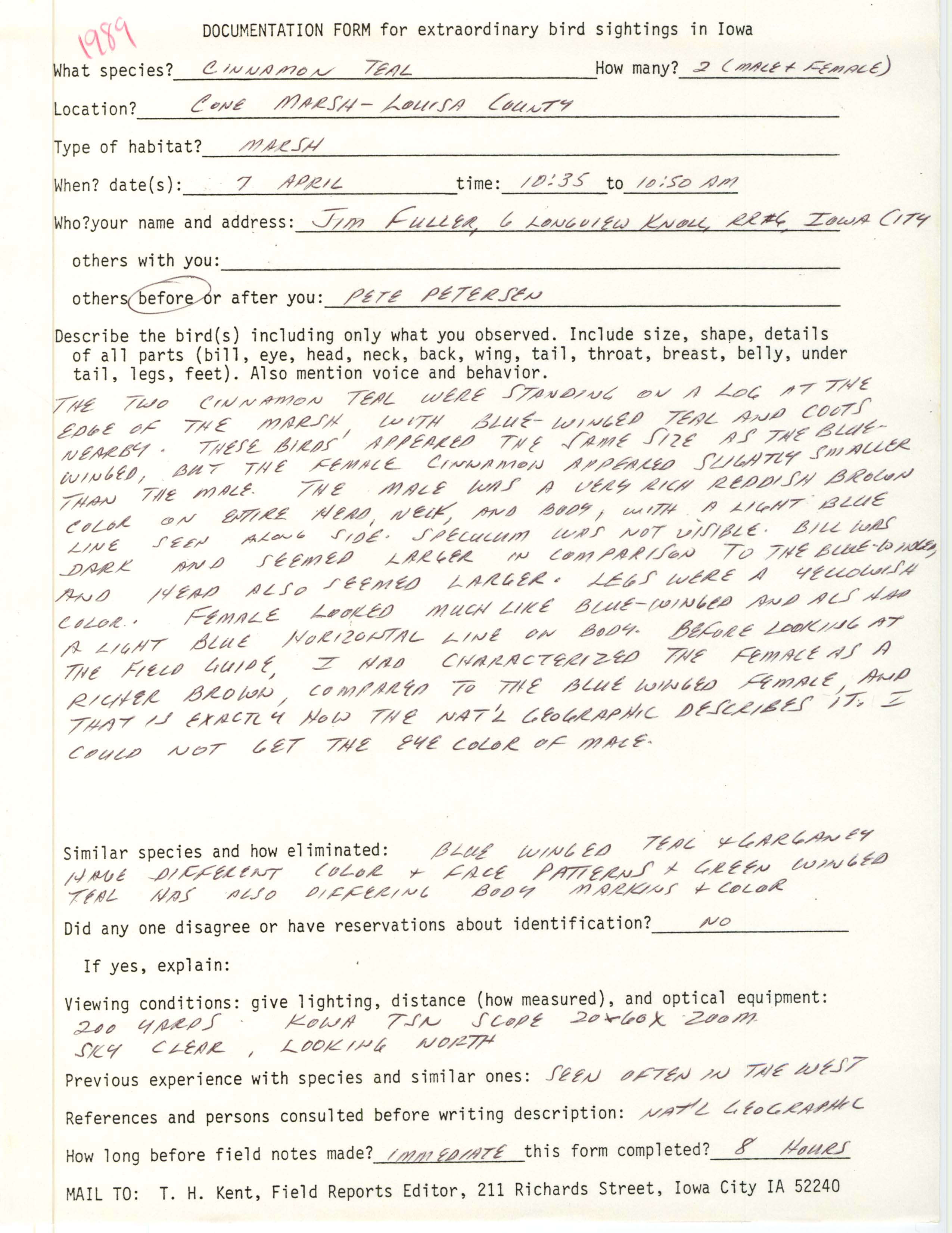 Rare bird documentation form for Cinnamon Teal at Cone Marsh, 1989